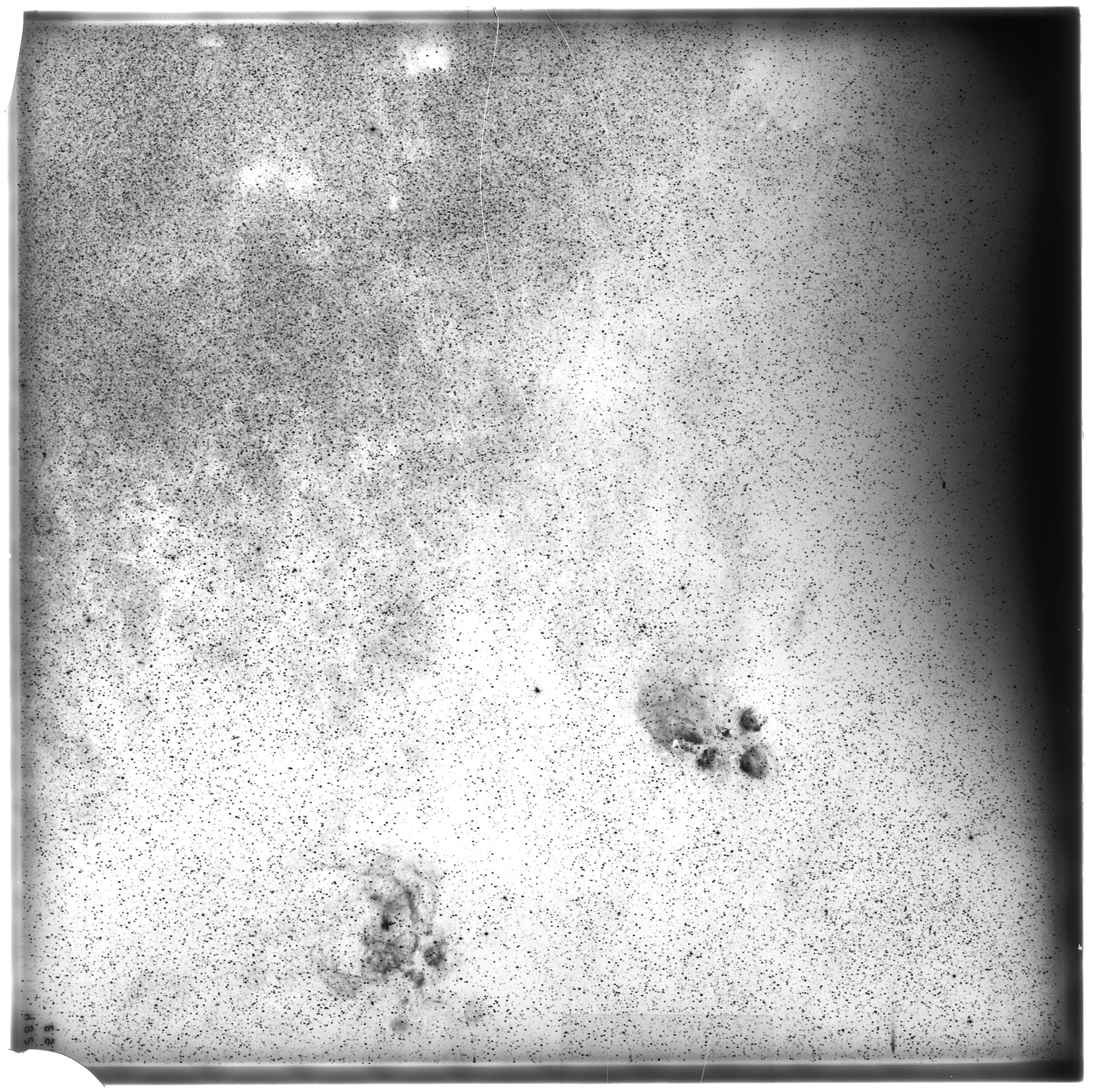 Scan ES04829