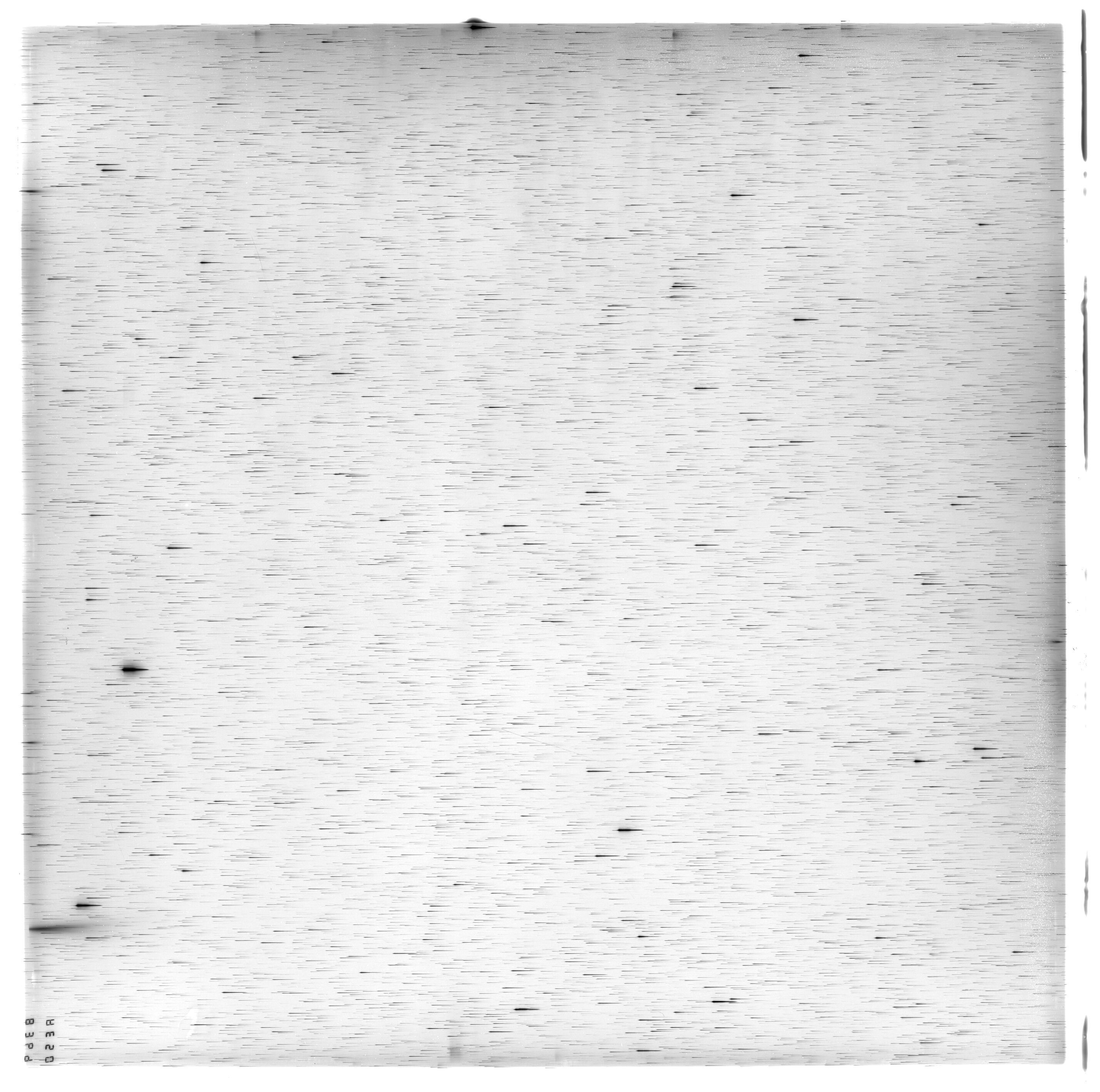 Scan ES08369a