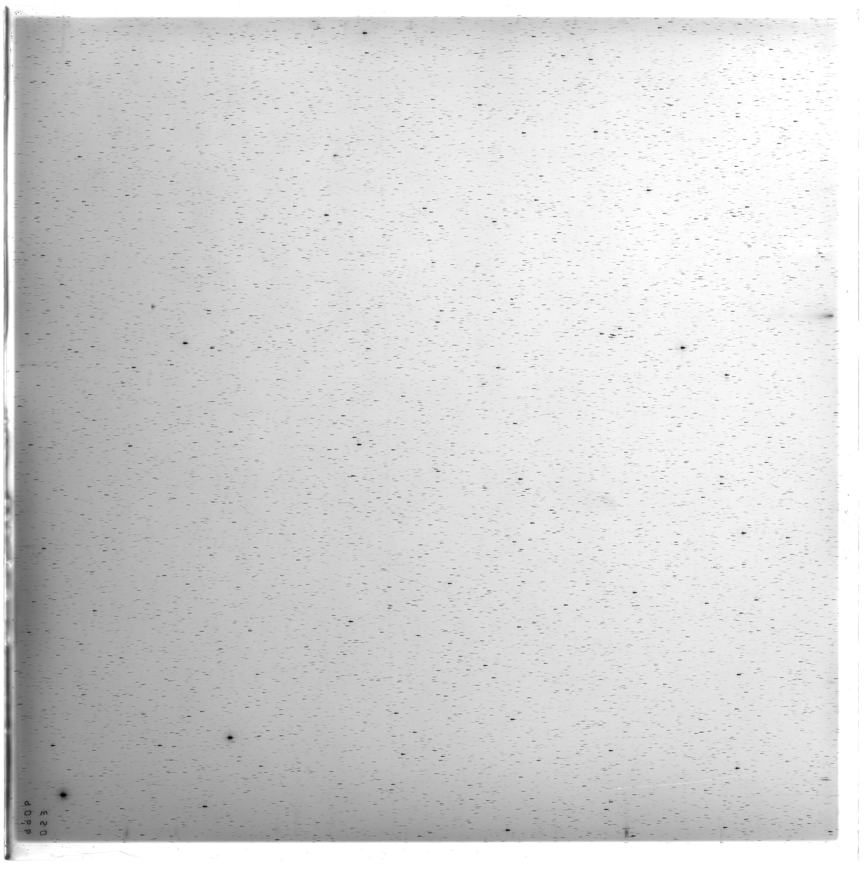 Scan ES09066a