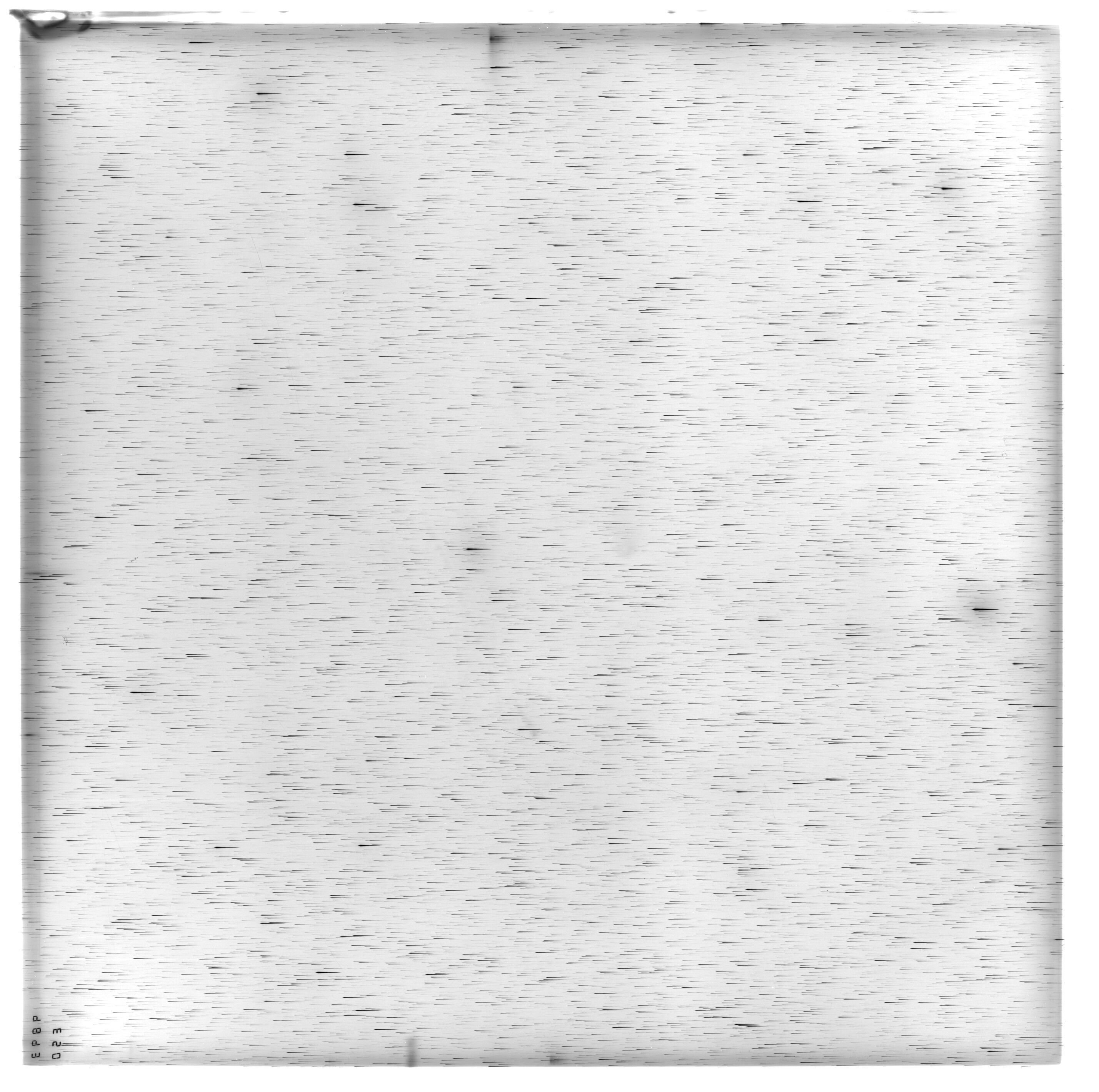 Scan ES09893a