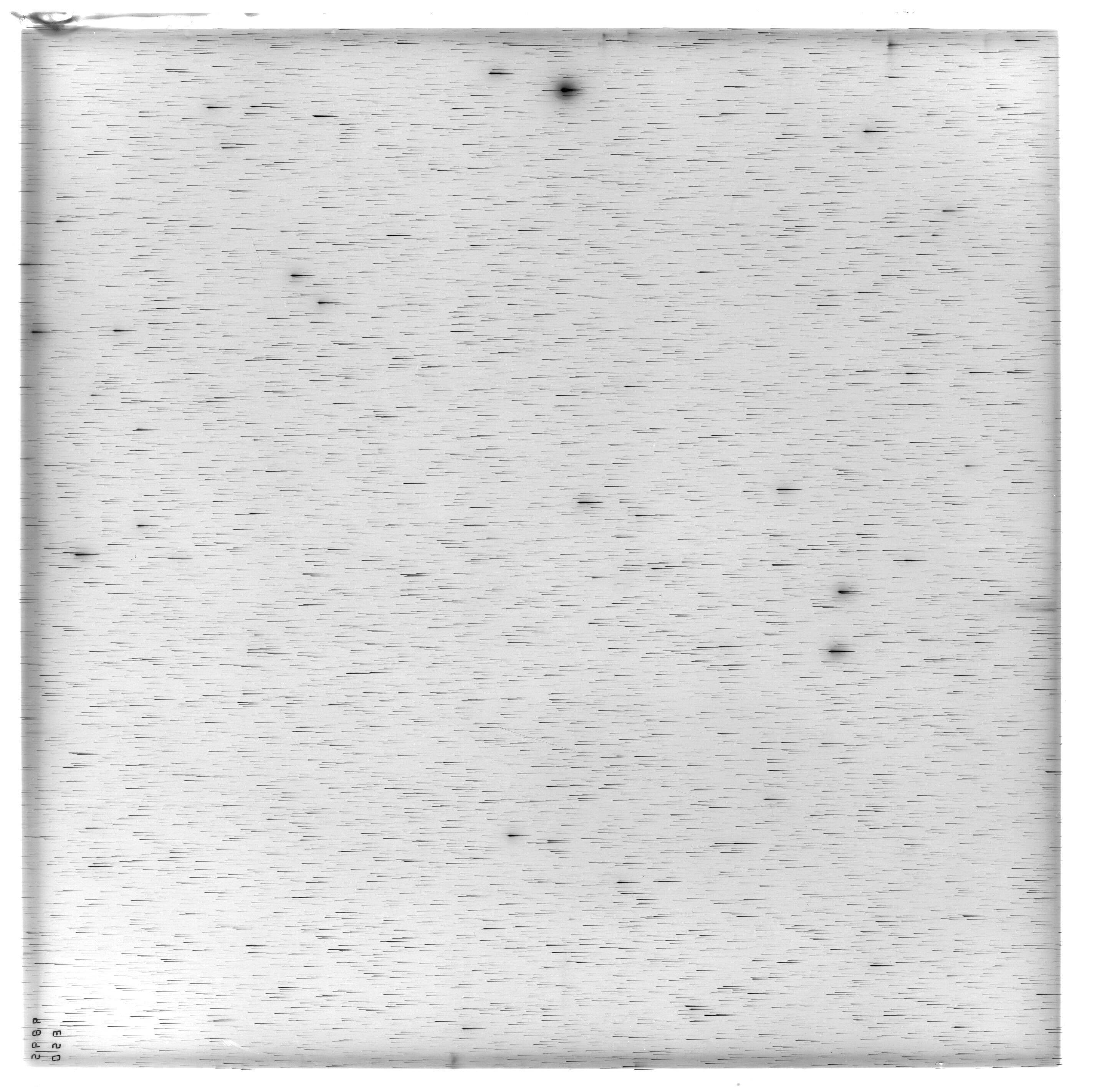 Scan ES09895a