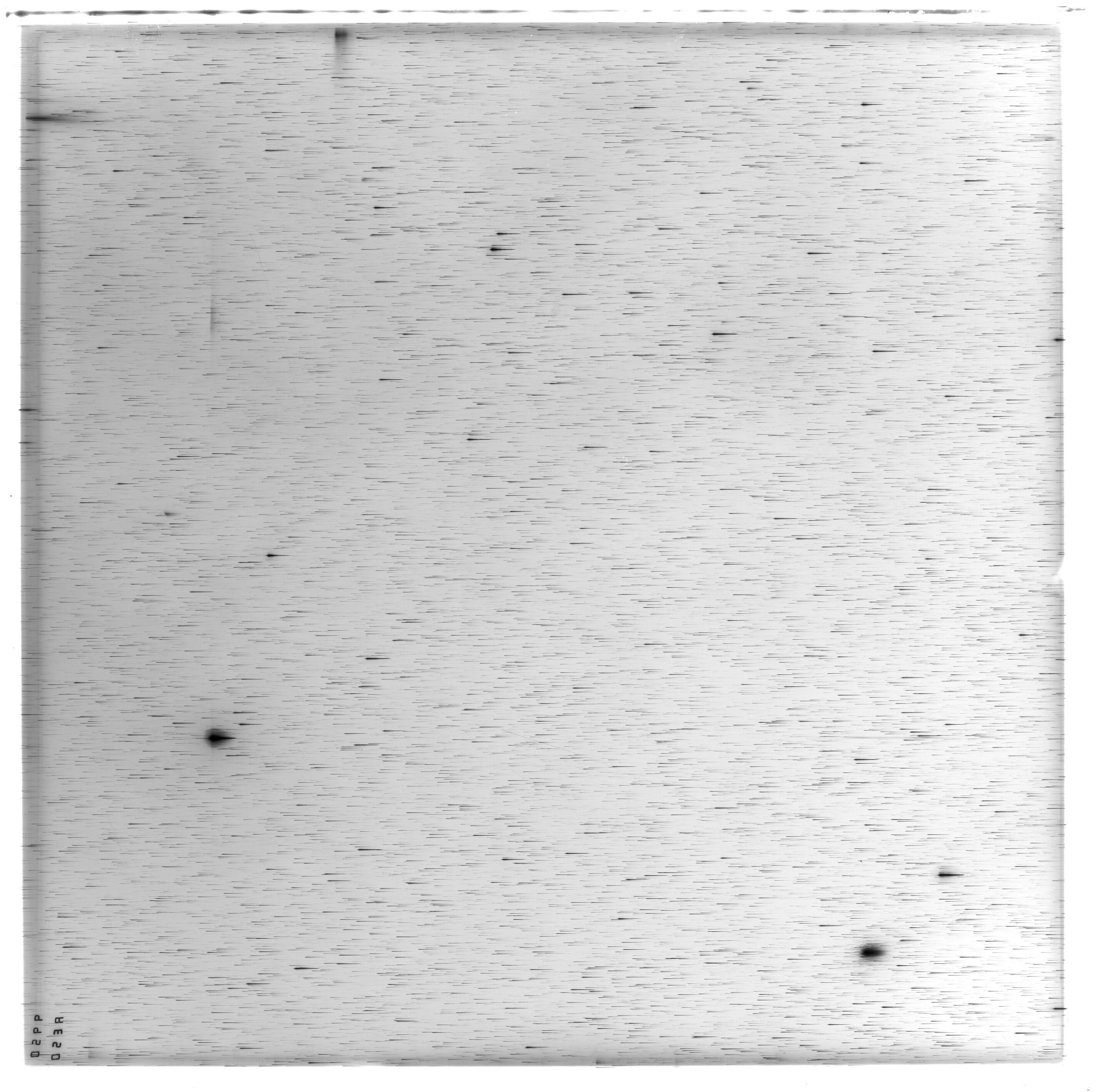 Scan ES09950a