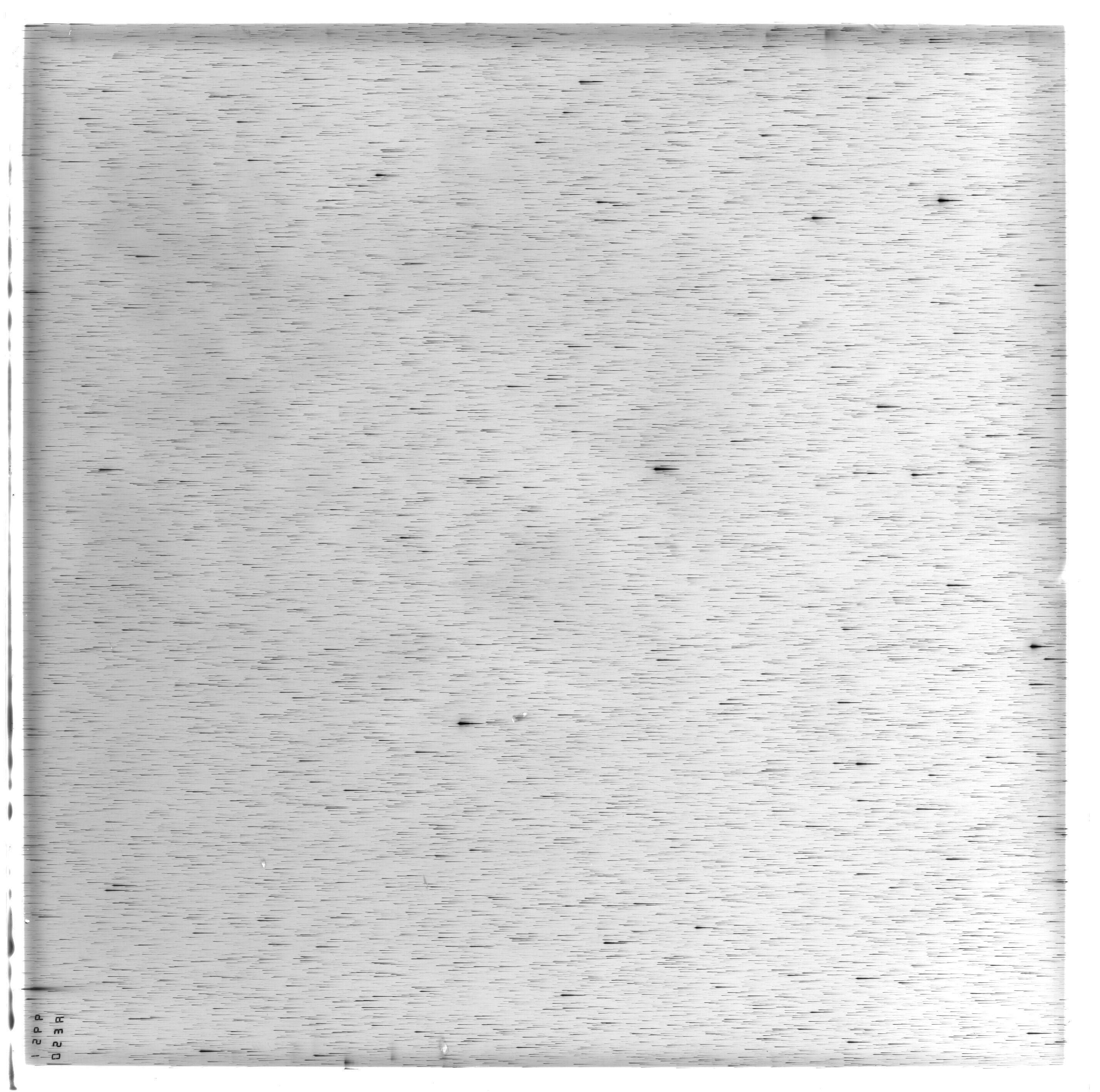 Scan ES09951a