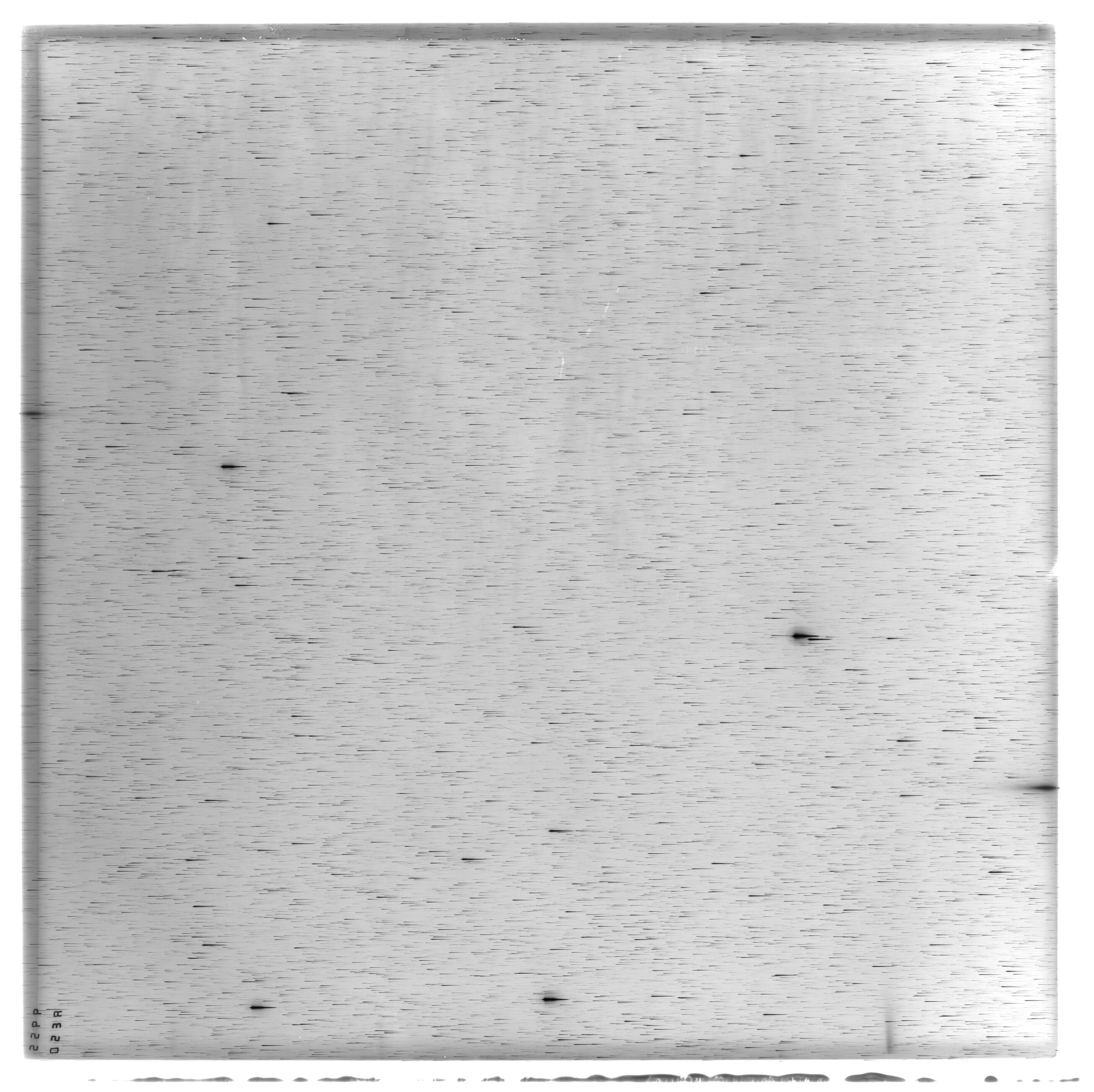 Scan ES09955a