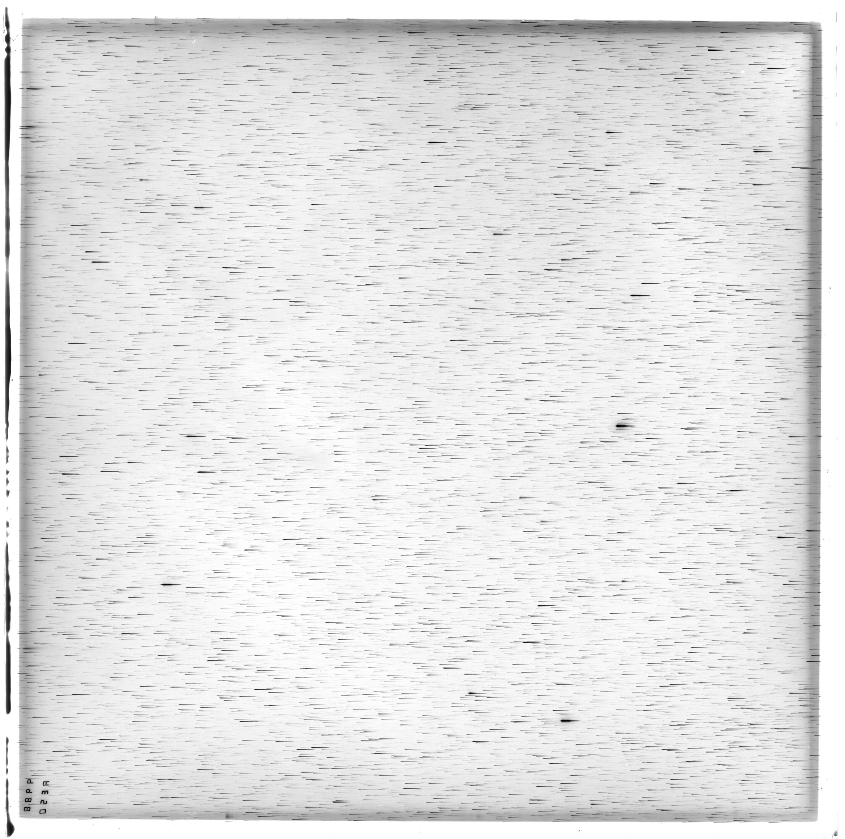 Scan ES09988a