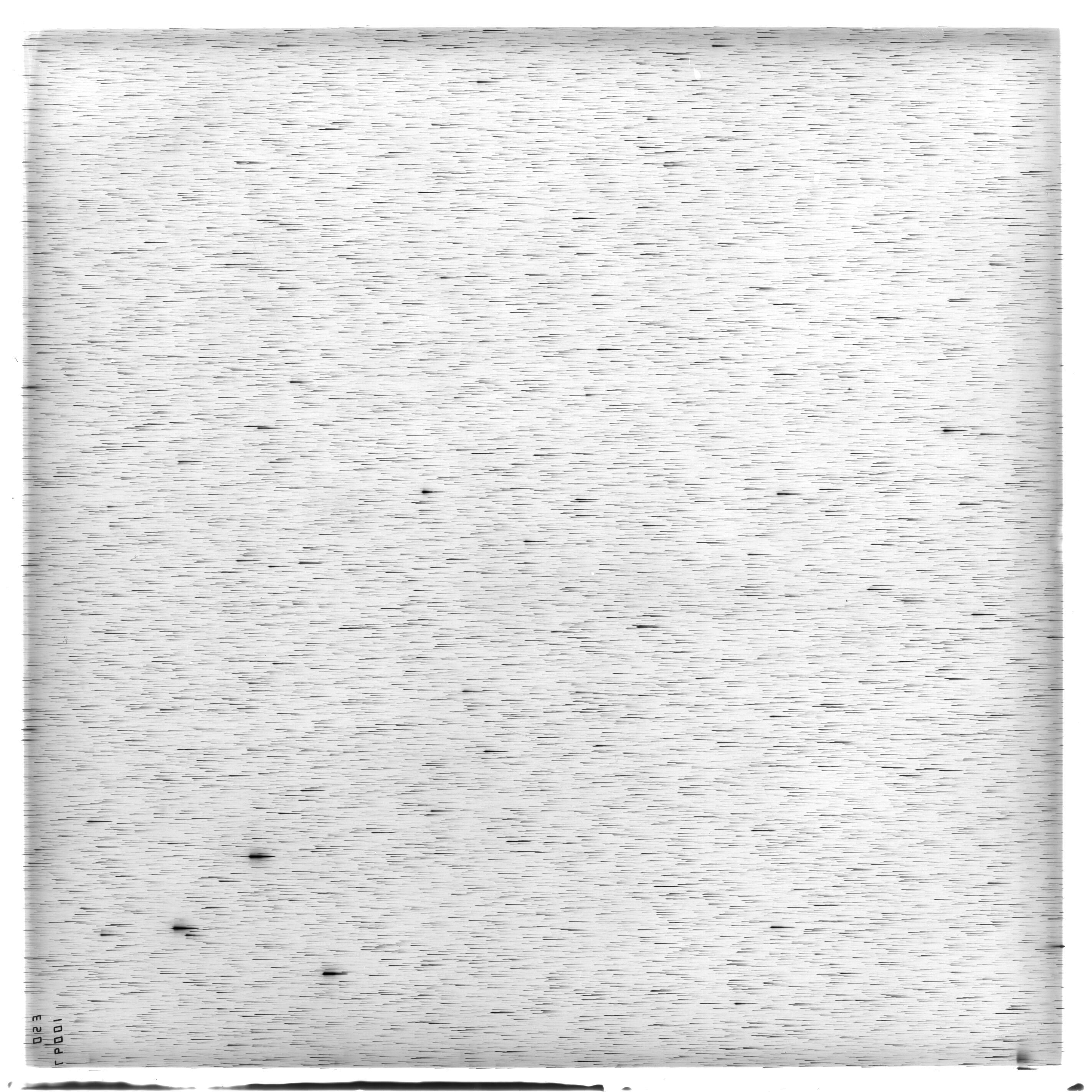 Scan ES10097a