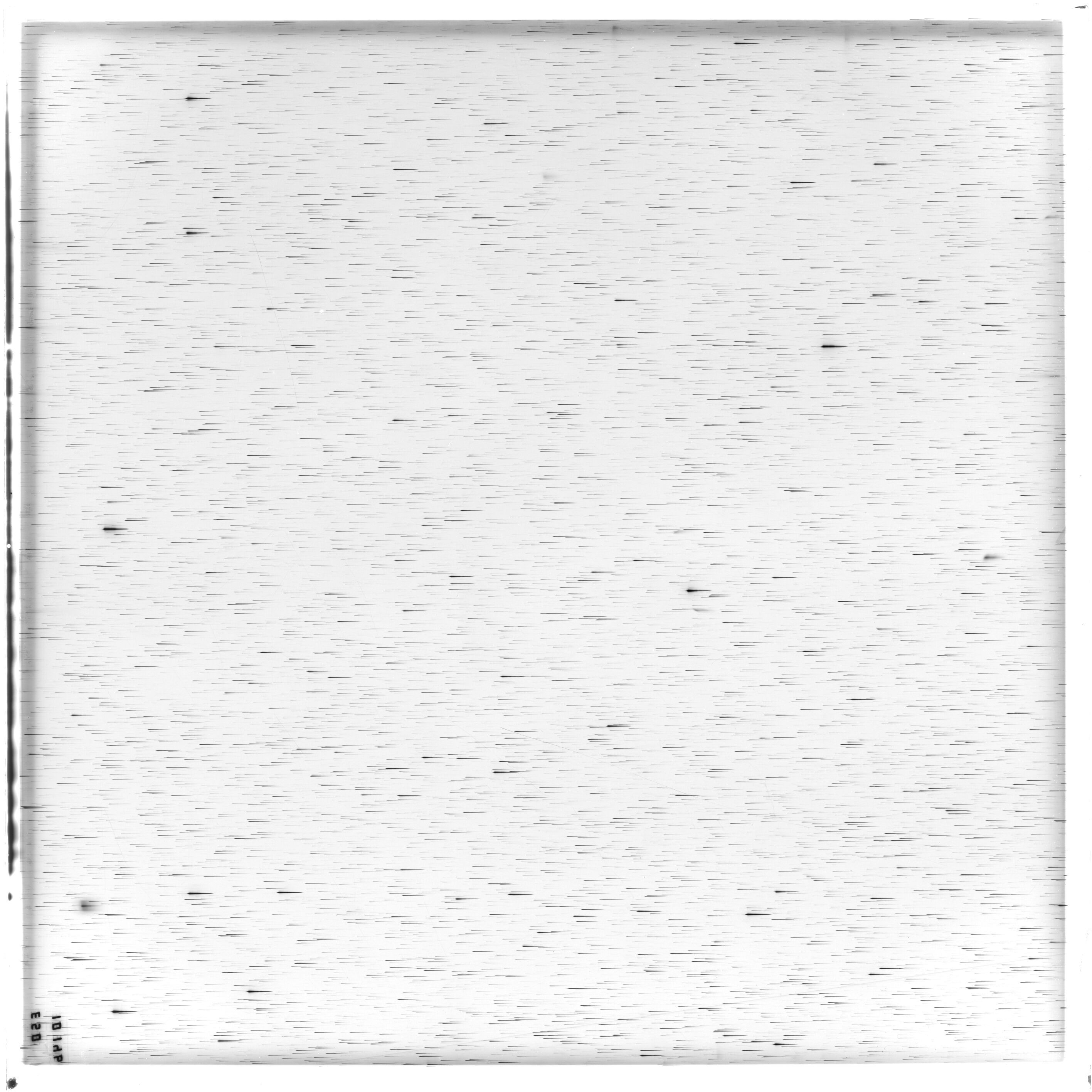 Scan ES10146a