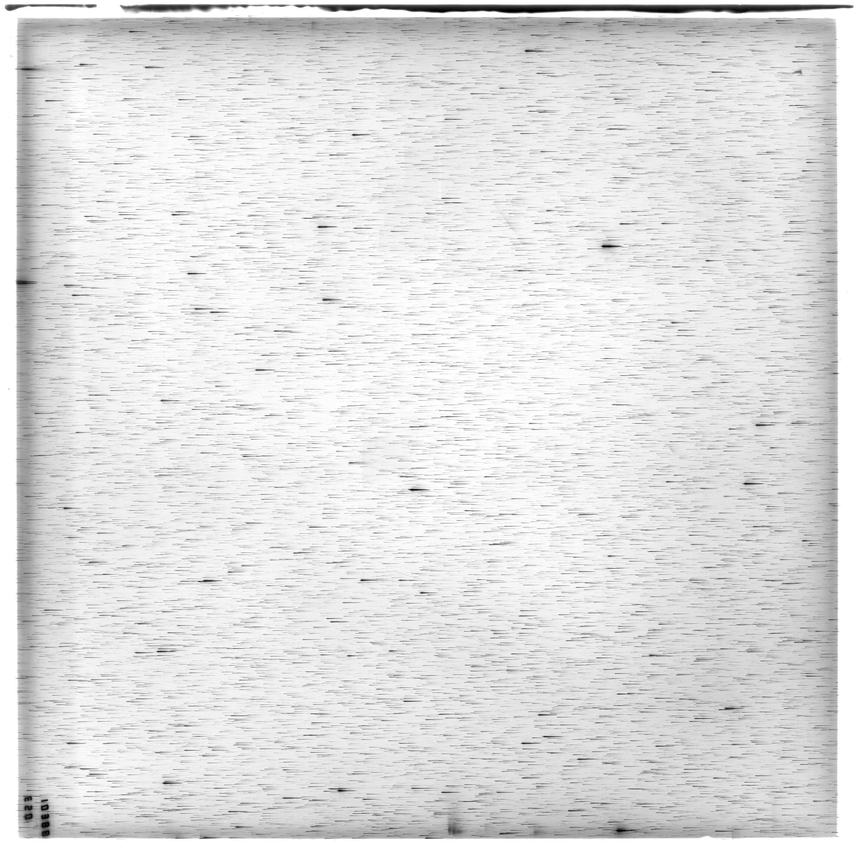 Scan ES10388a