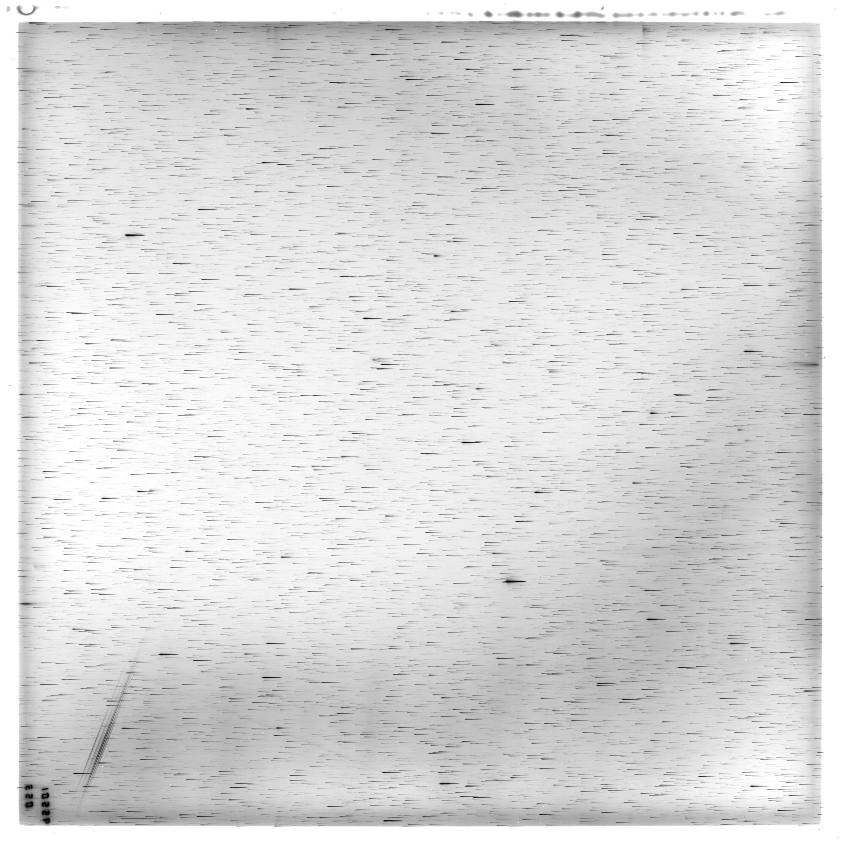 Scan ES10556a