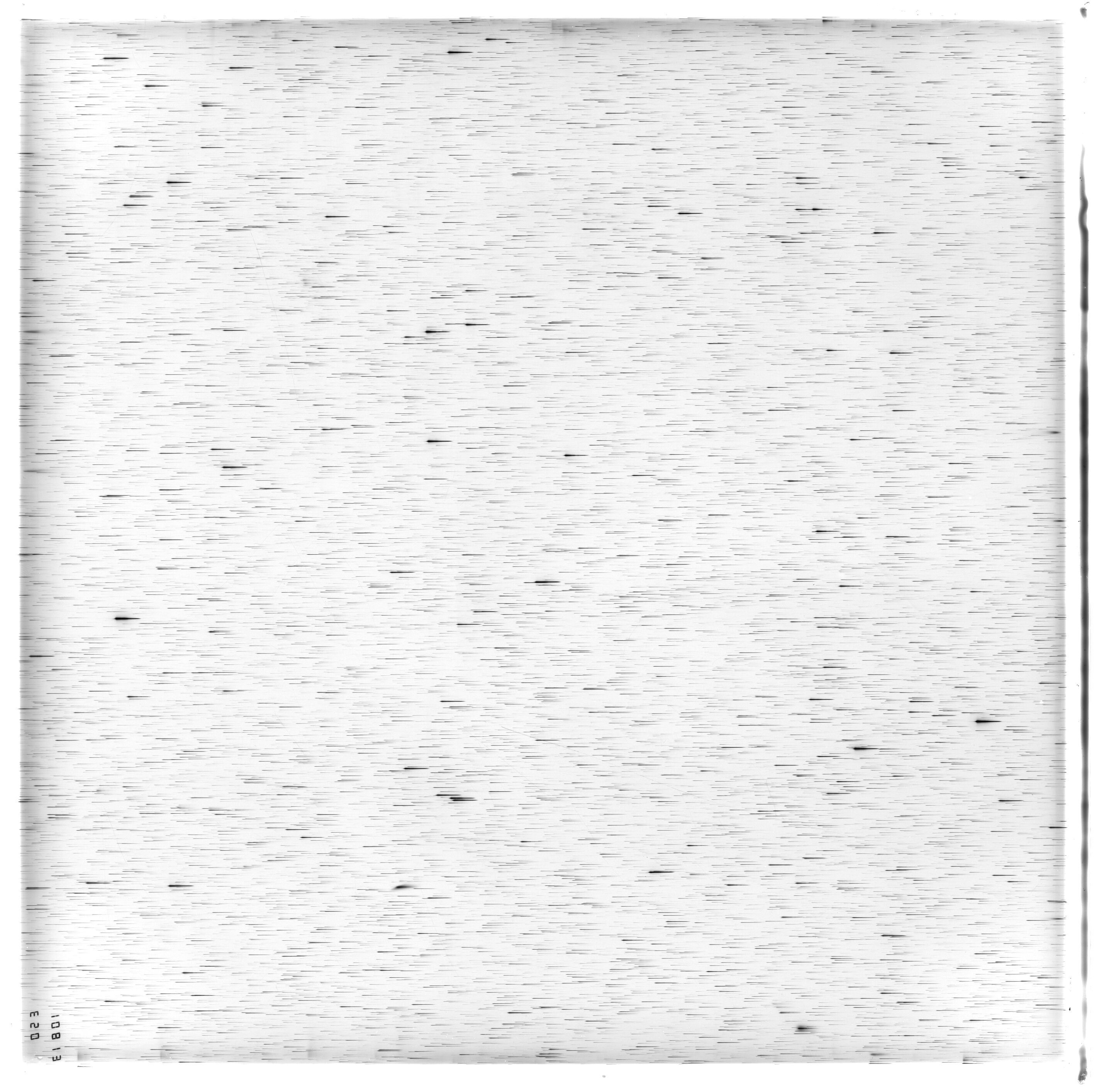Scan ES10813a