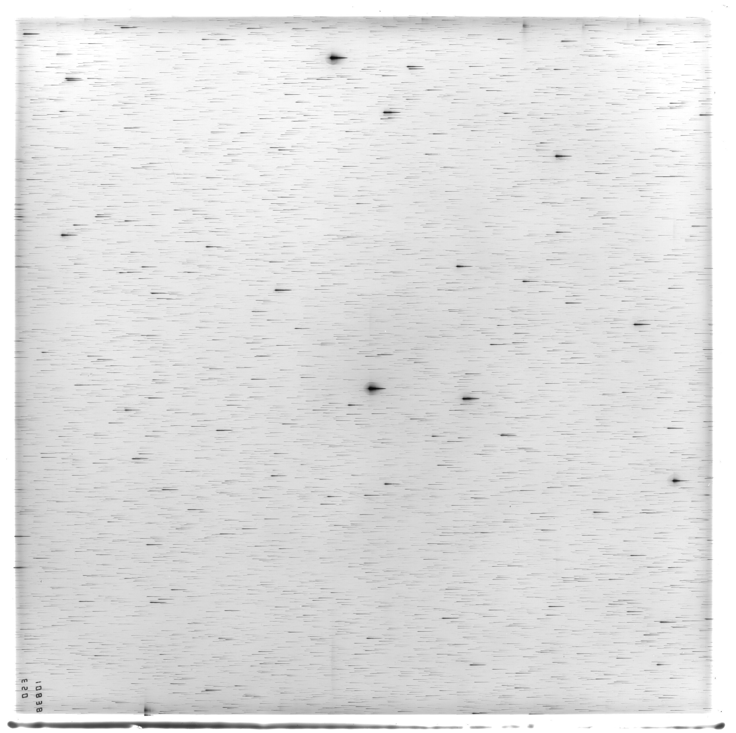 Scan ES10838a