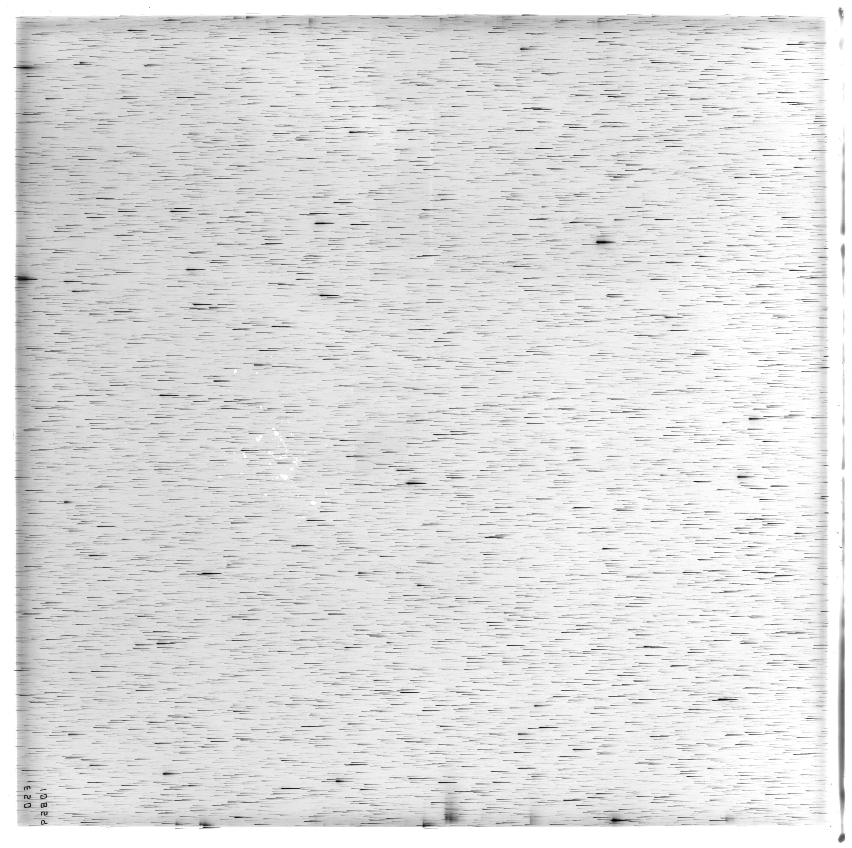 Scan ES10859a