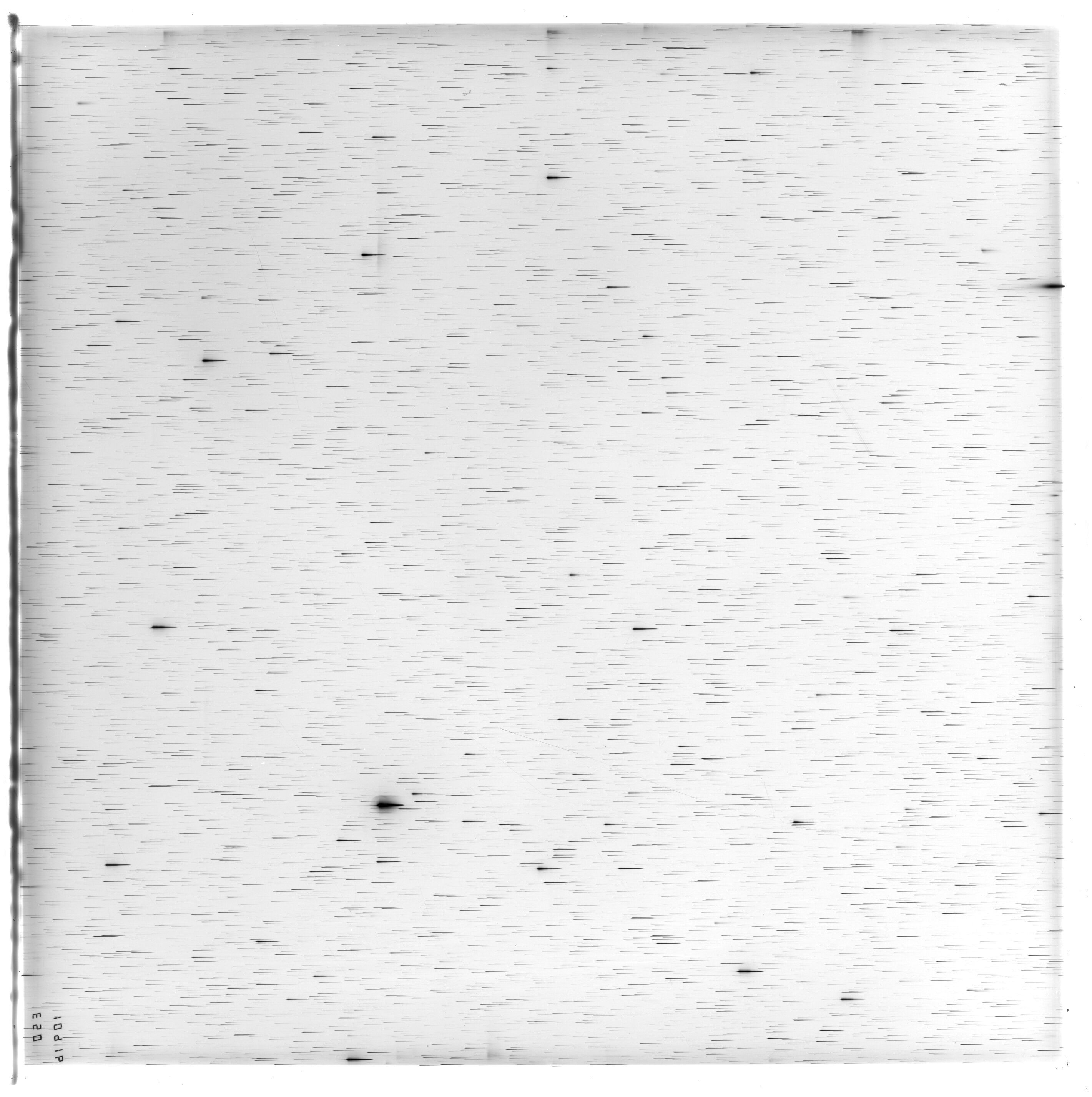 Scan ES10916a