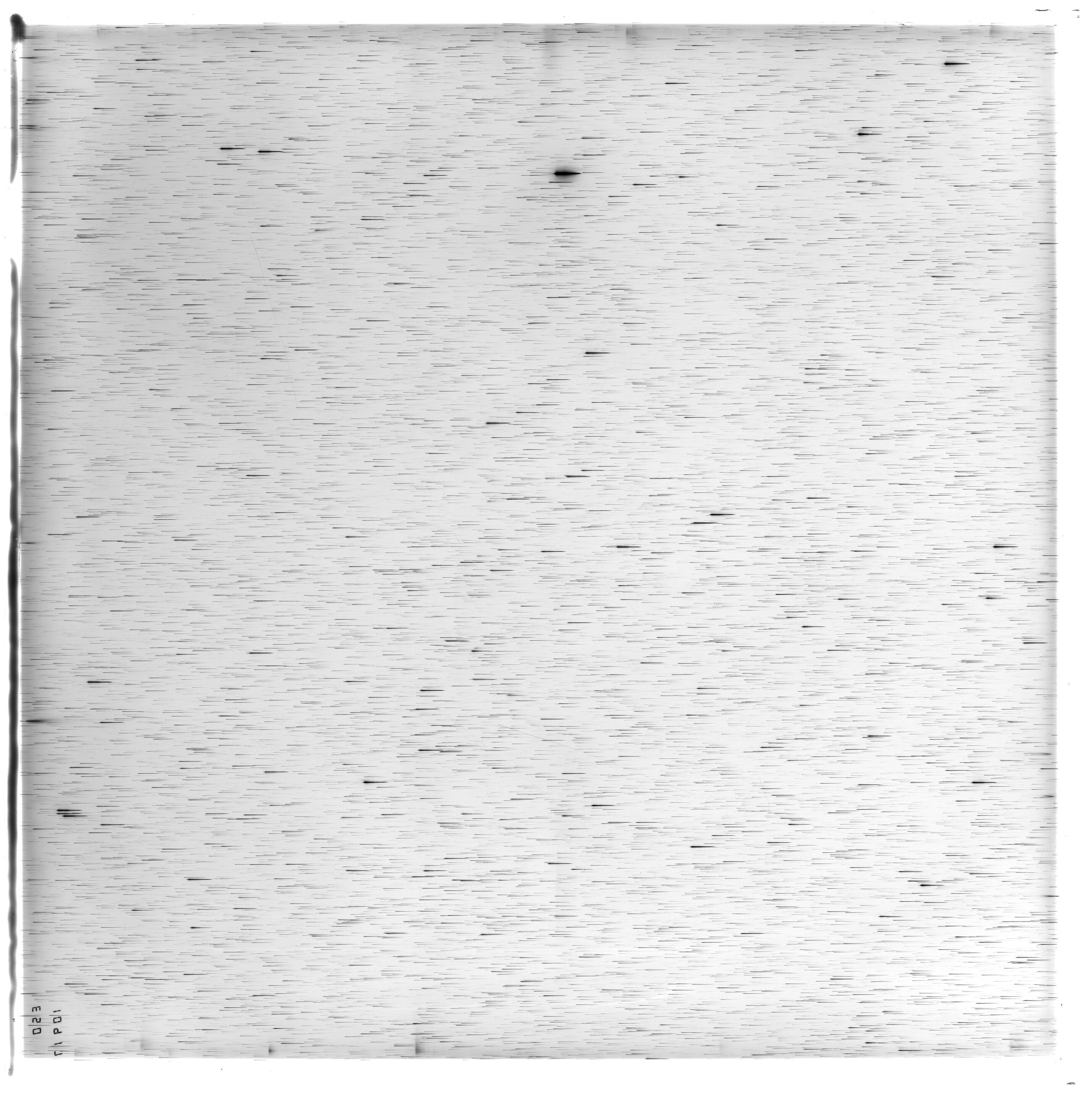 Scan ES10917a