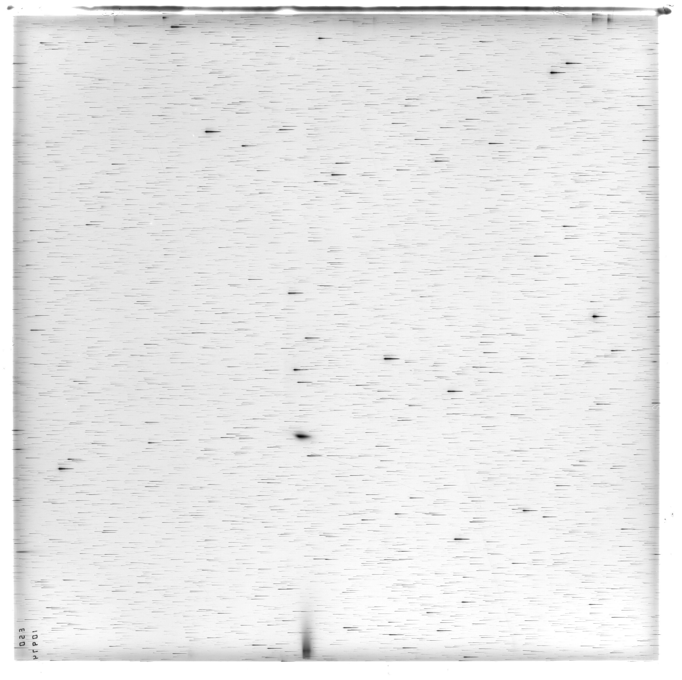 Scan ES10974a
