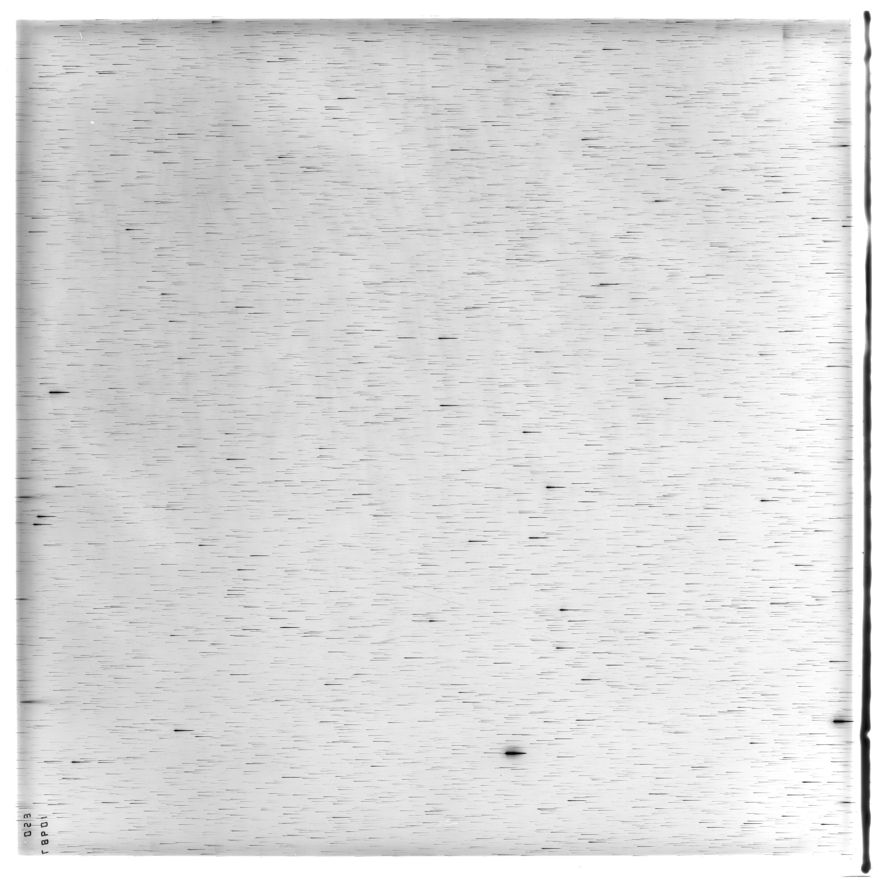 Scan ES10987a