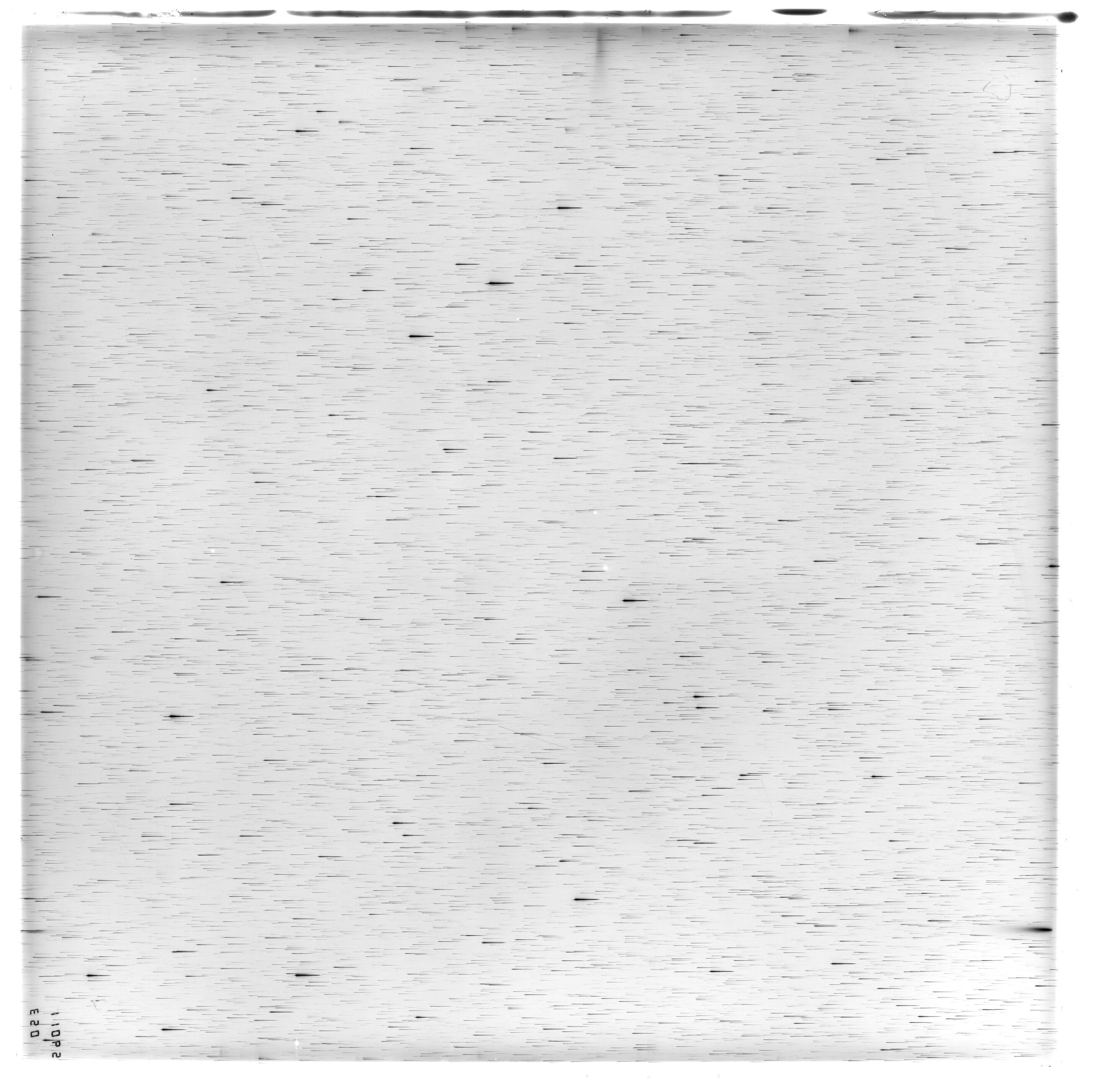 Scan ES11065a
