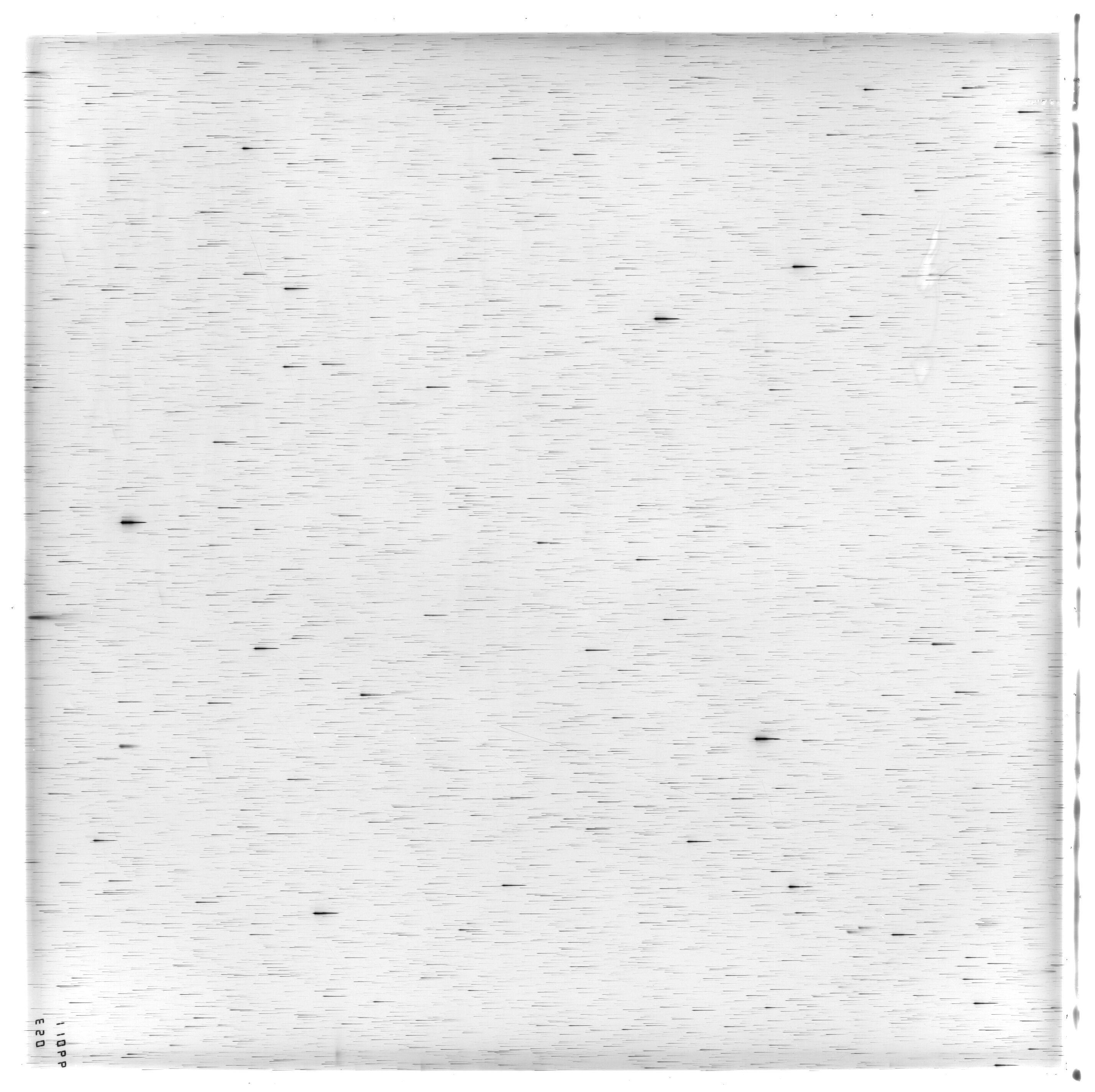 Scan ES11066a