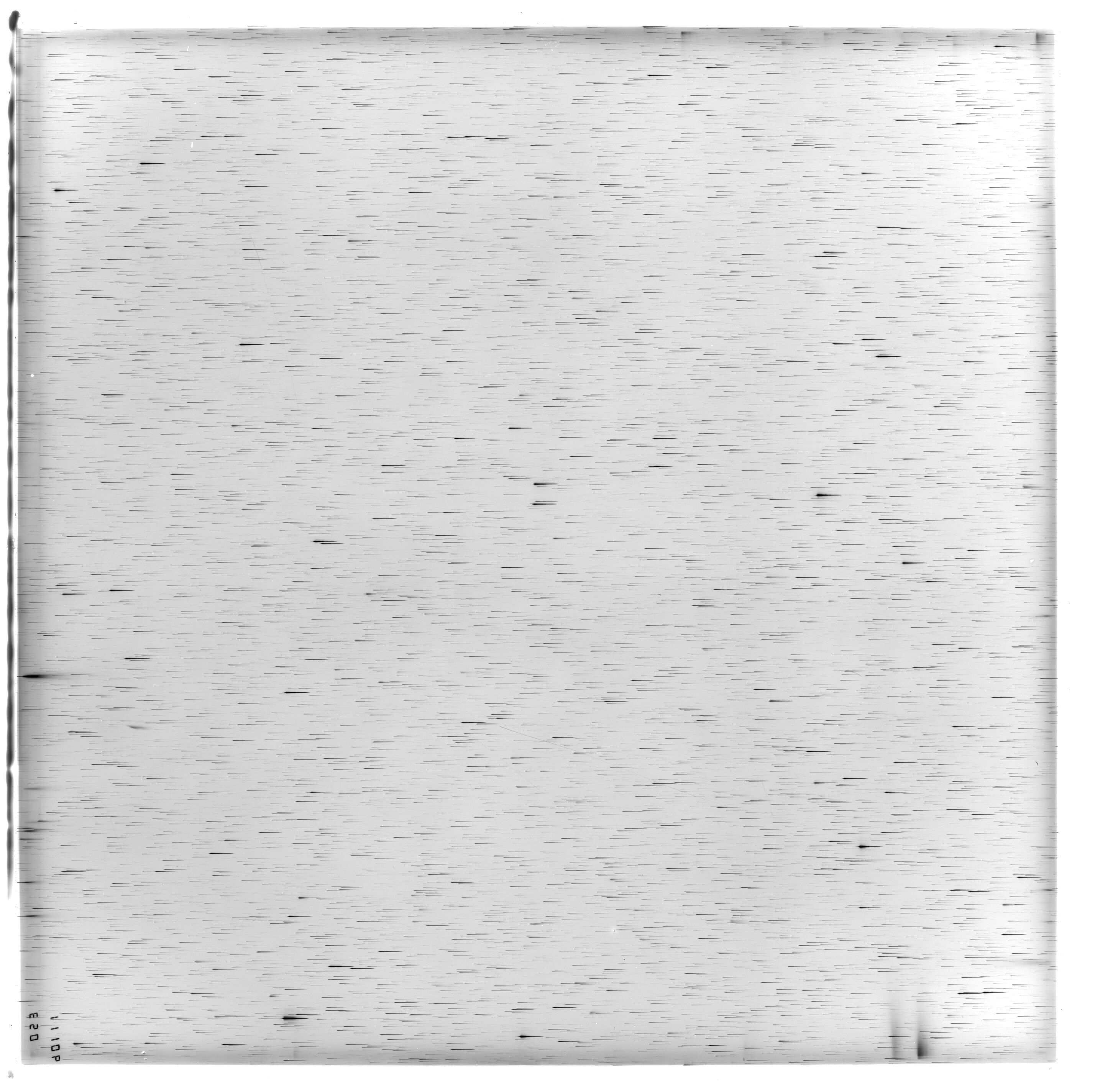 Scan ES11106a