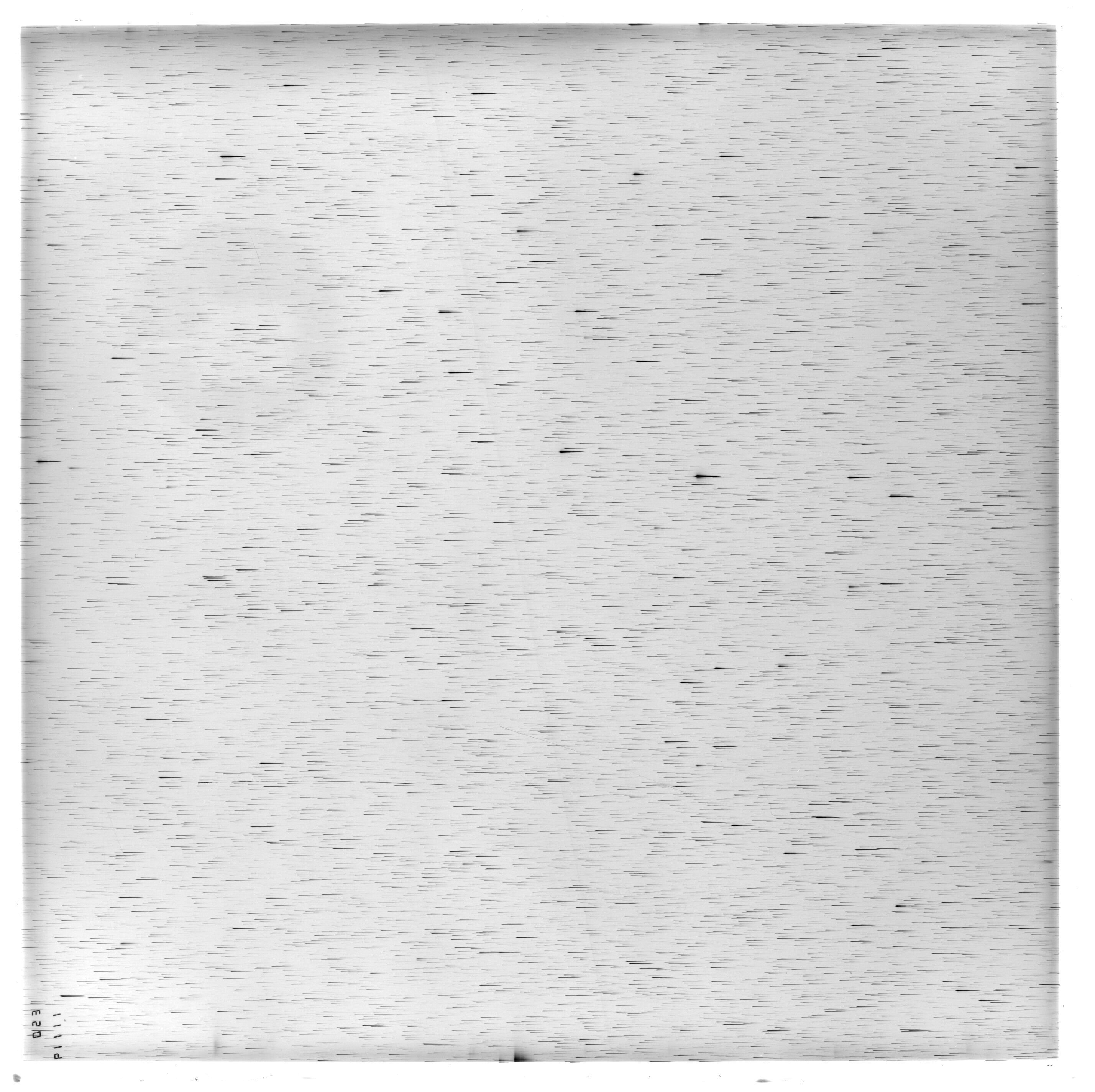 Scan ES11119a