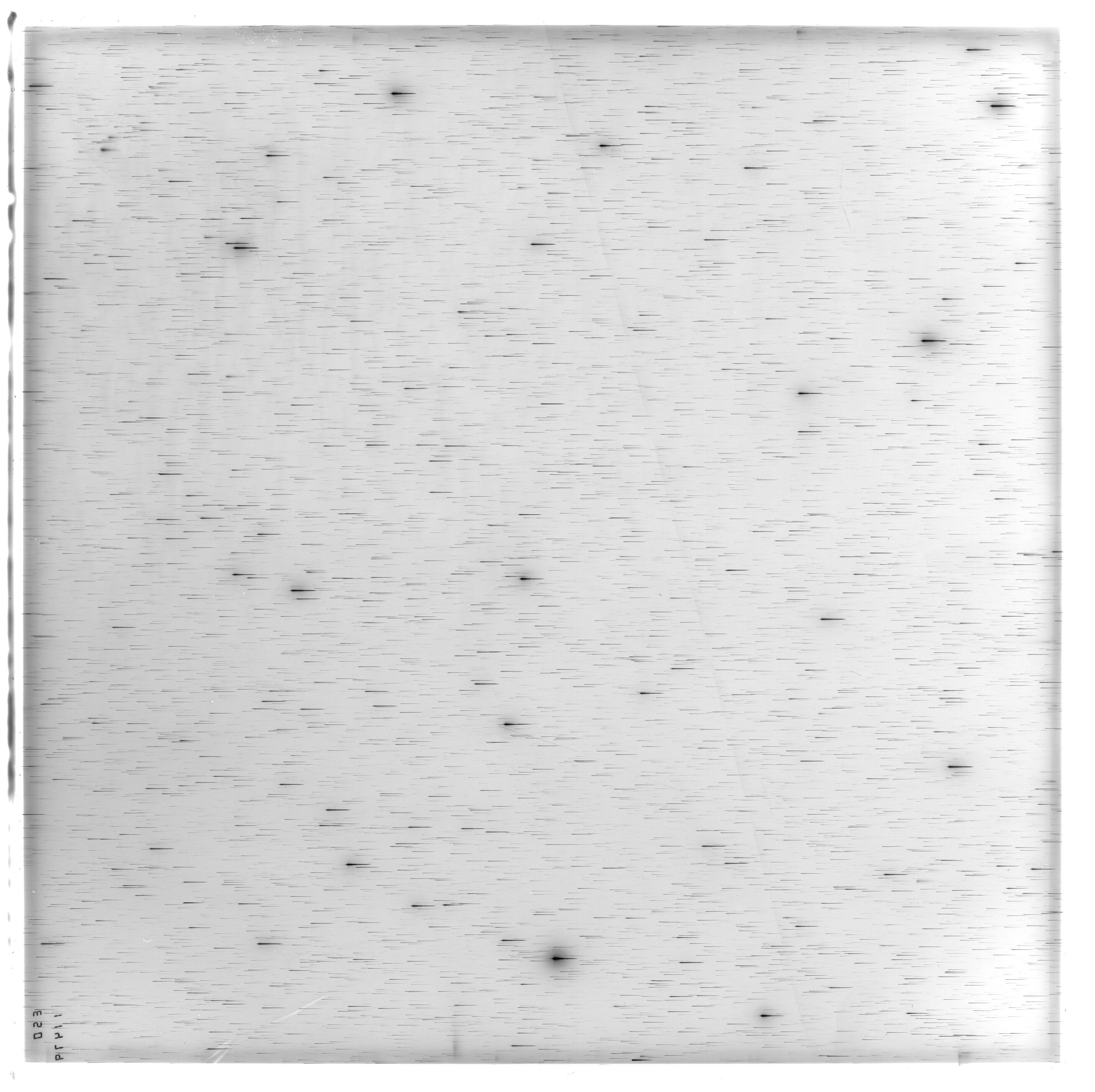 Scan ES11479a