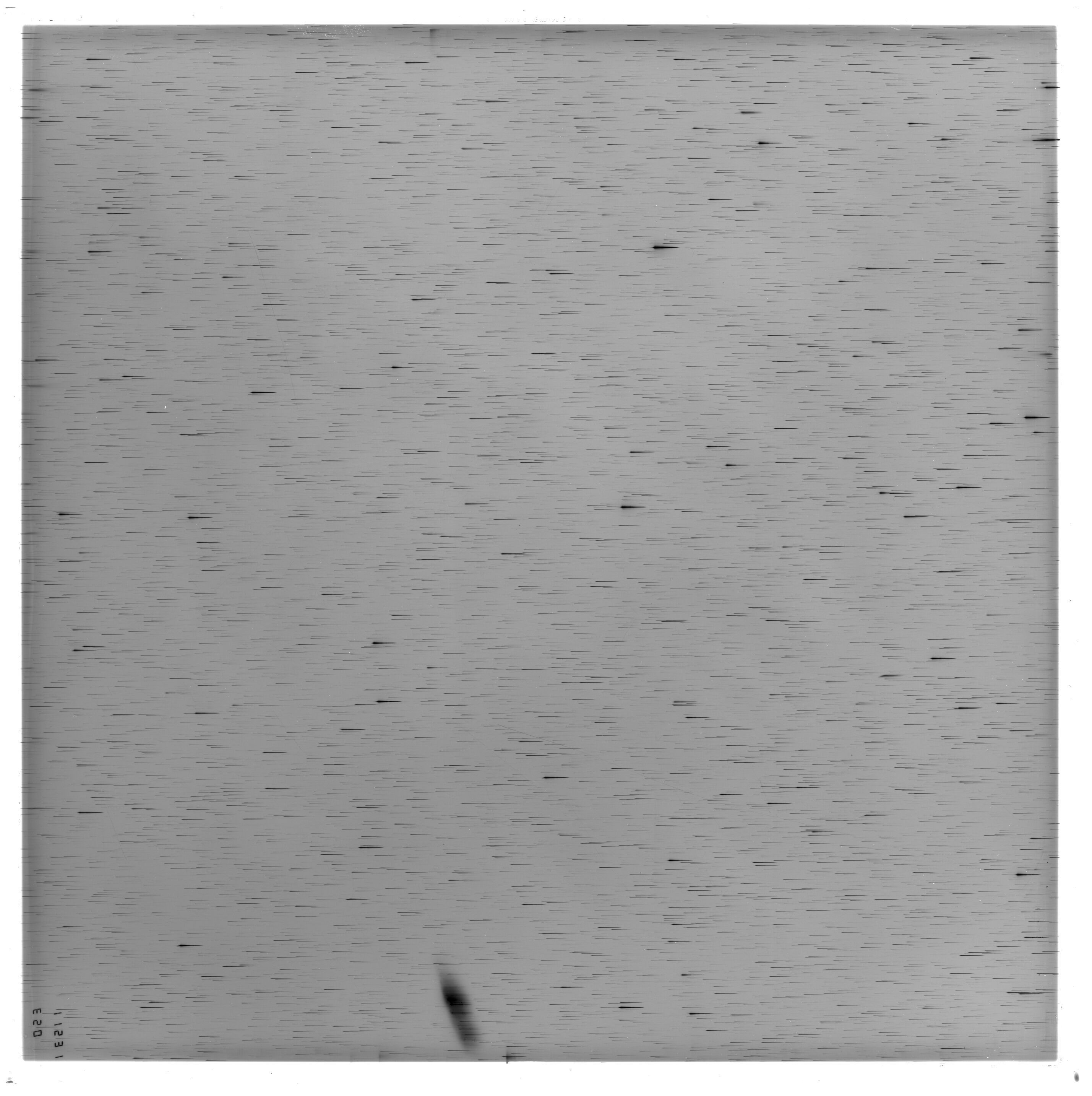 Scan ES11531a