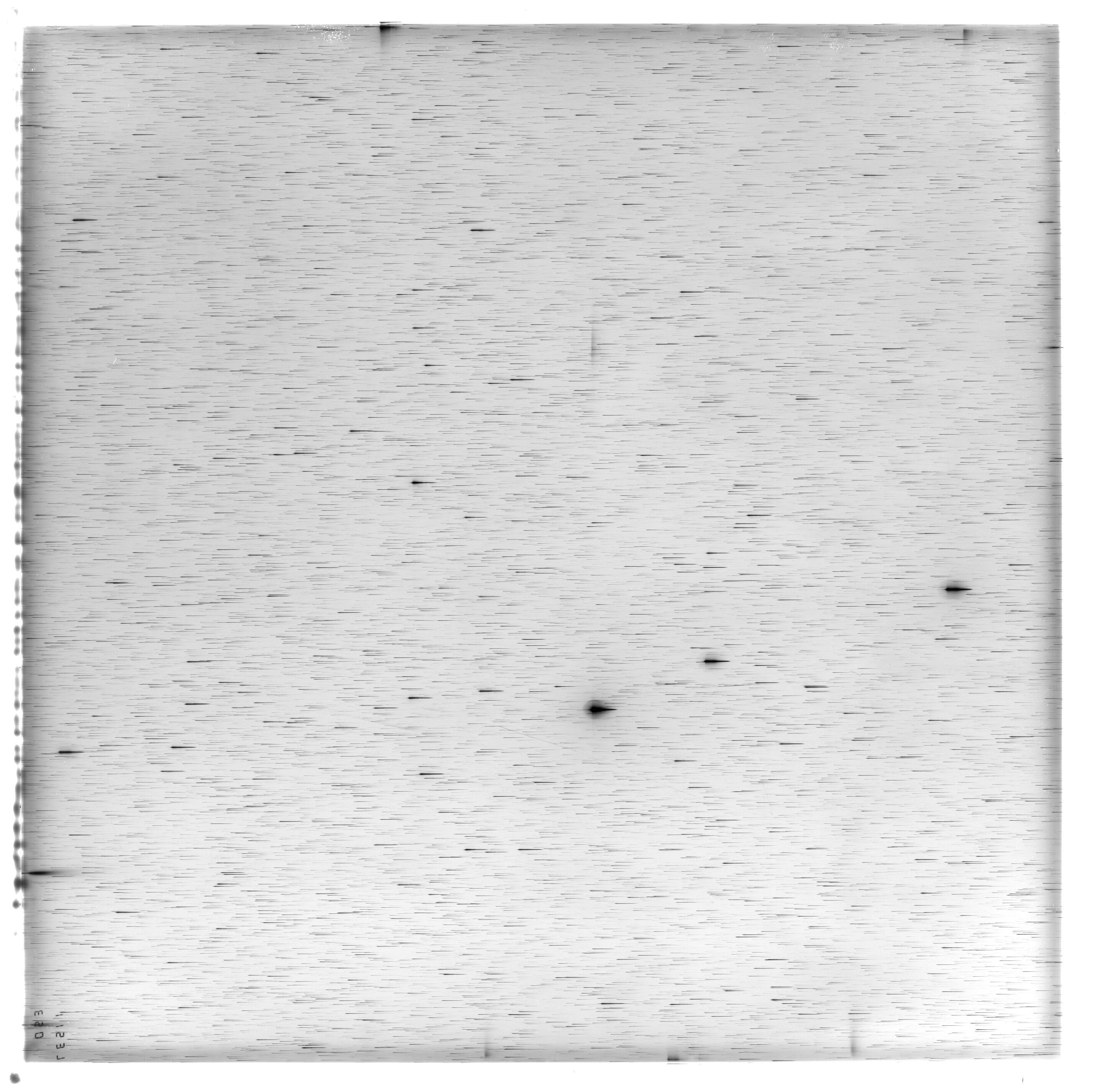 Scan ES11537a