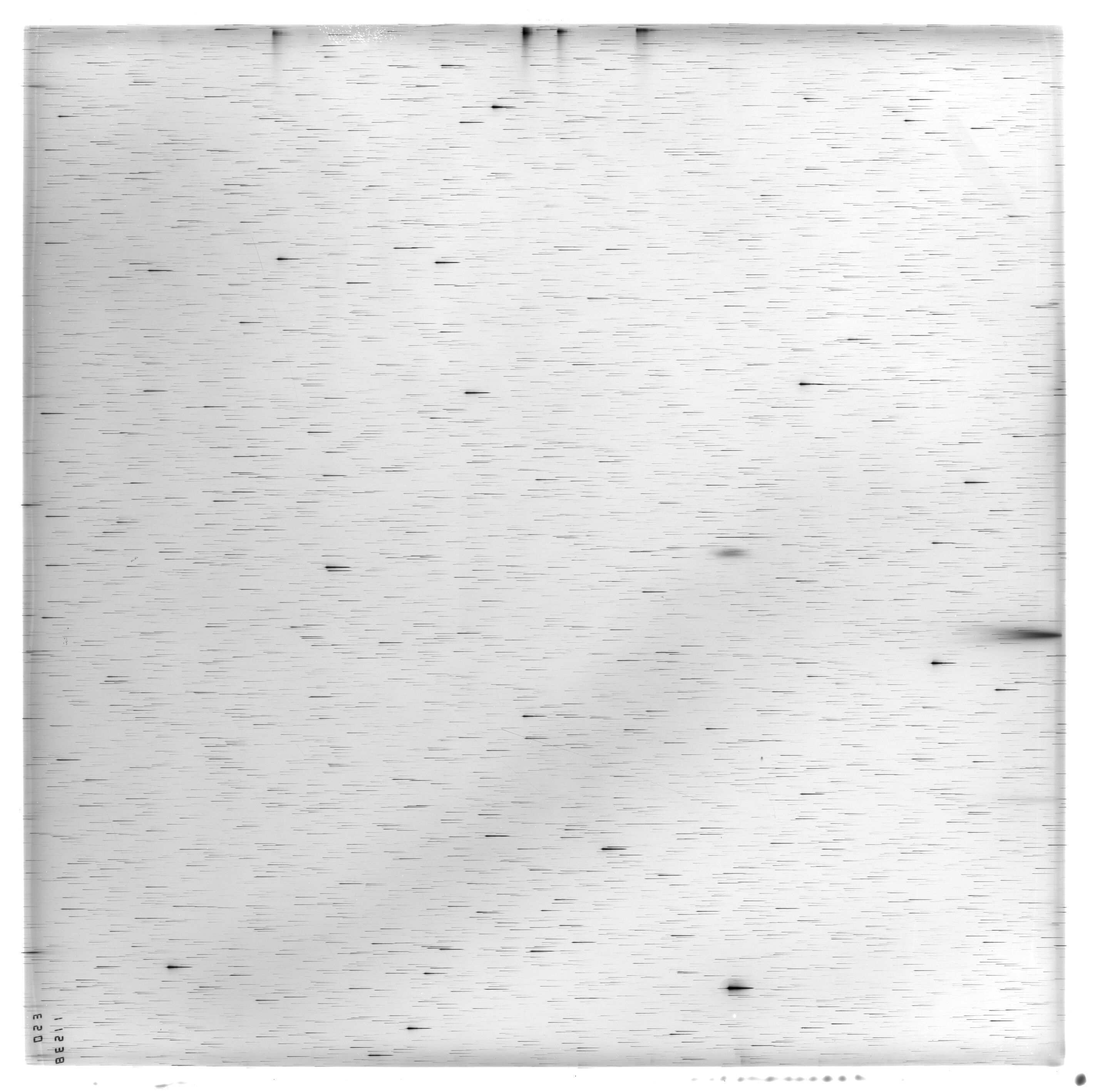 Scan ES11538a