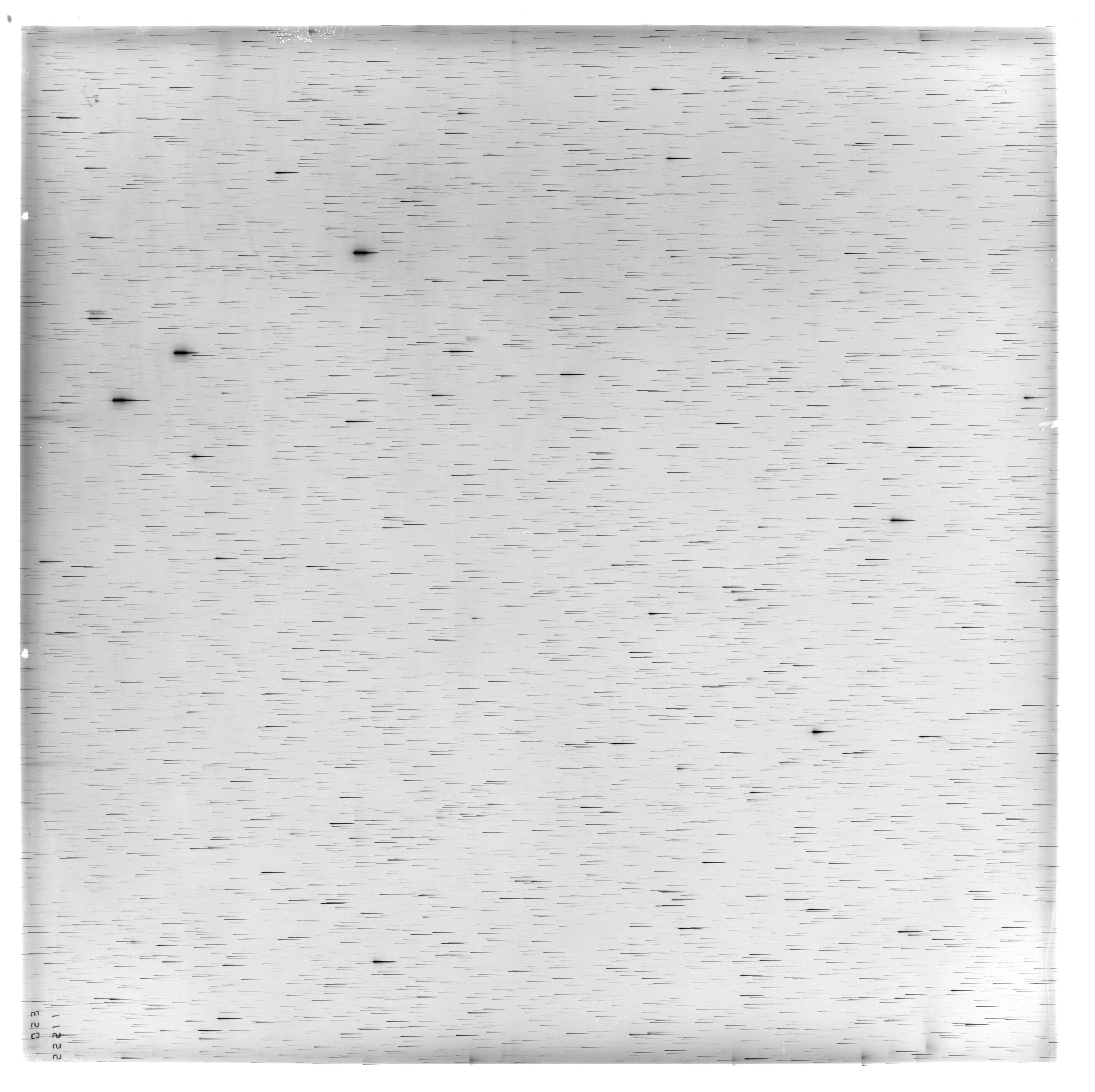 Scan ES11555a