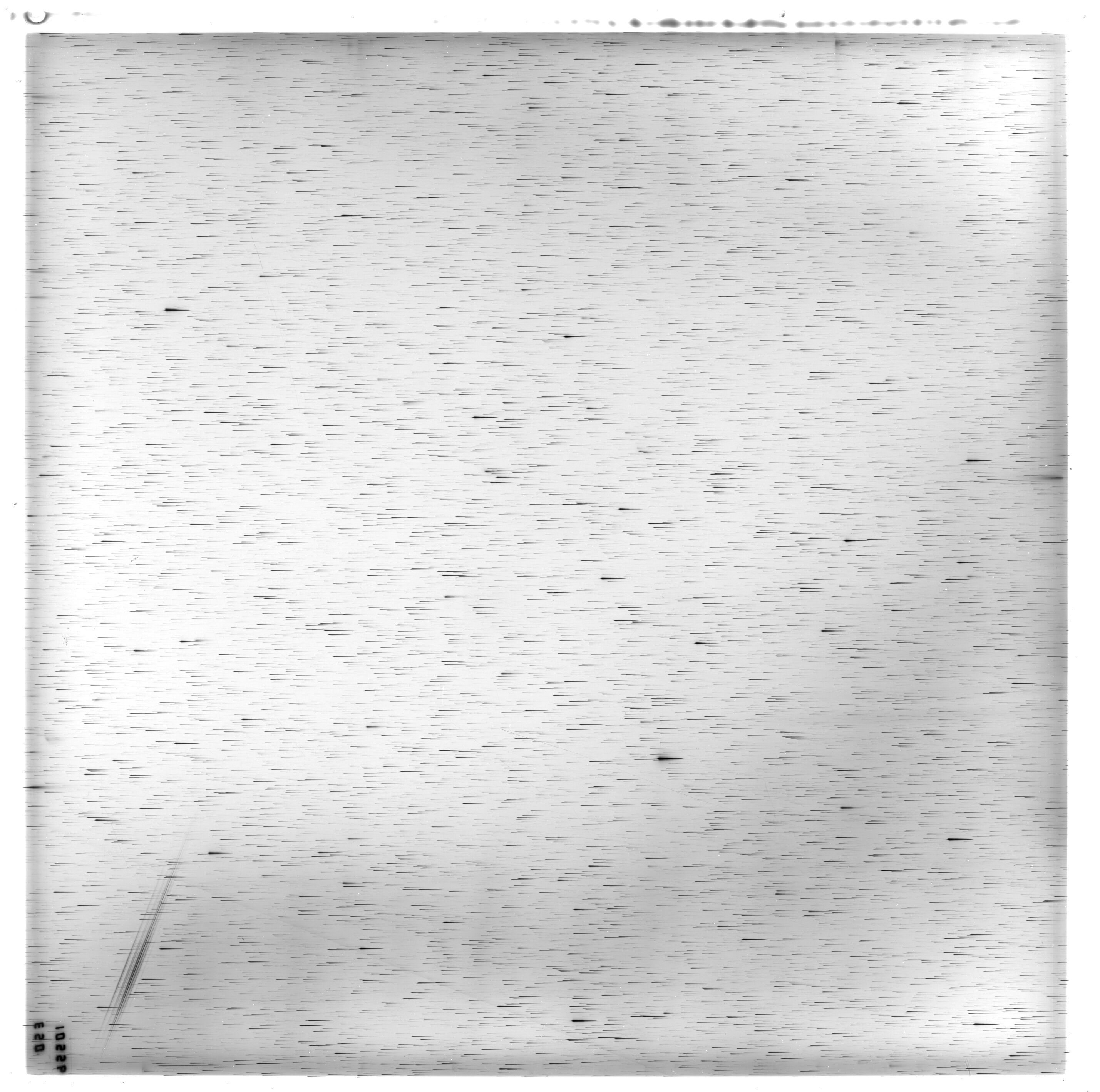 Scan ES11556a