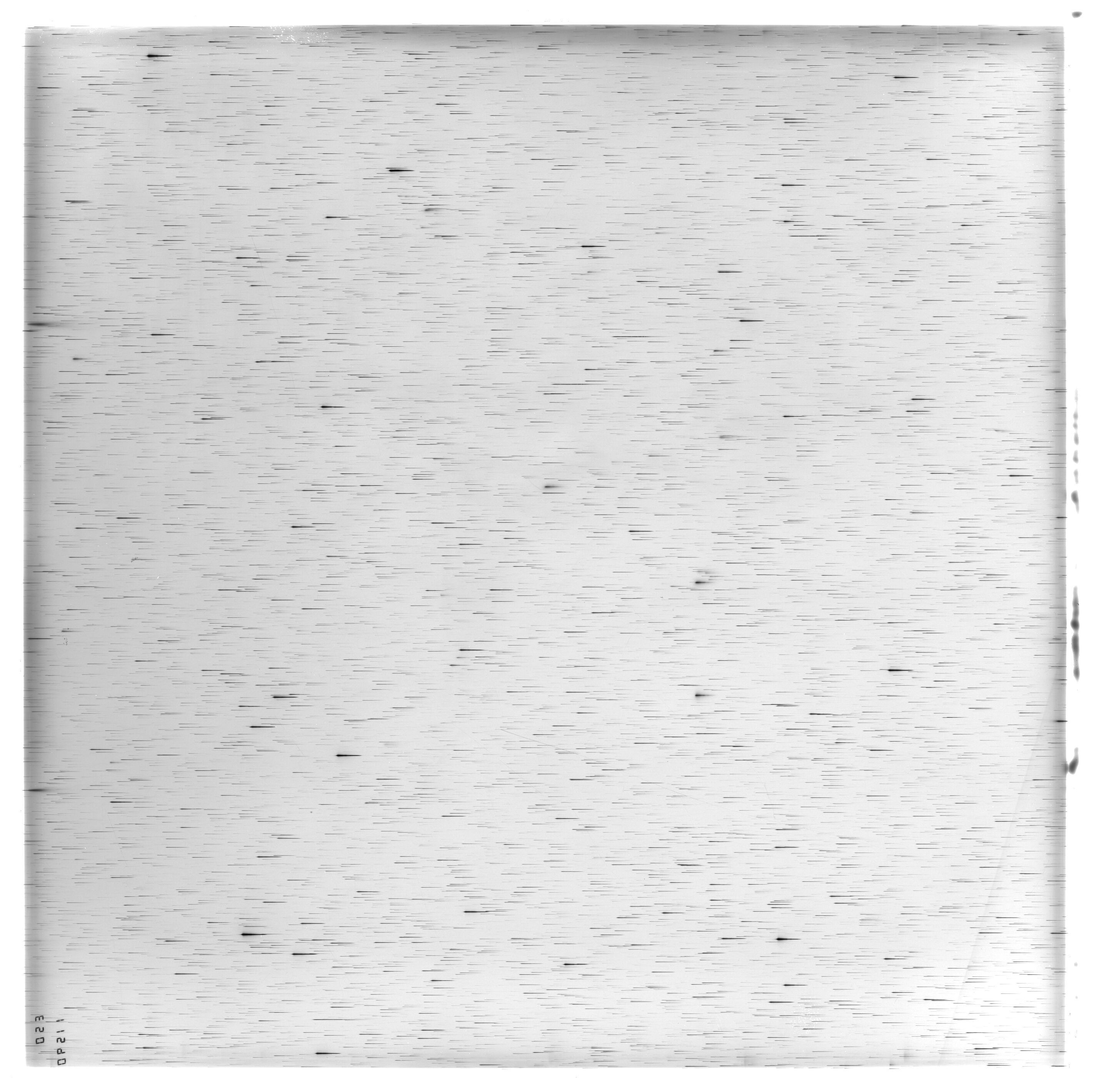 Scan ES11590a