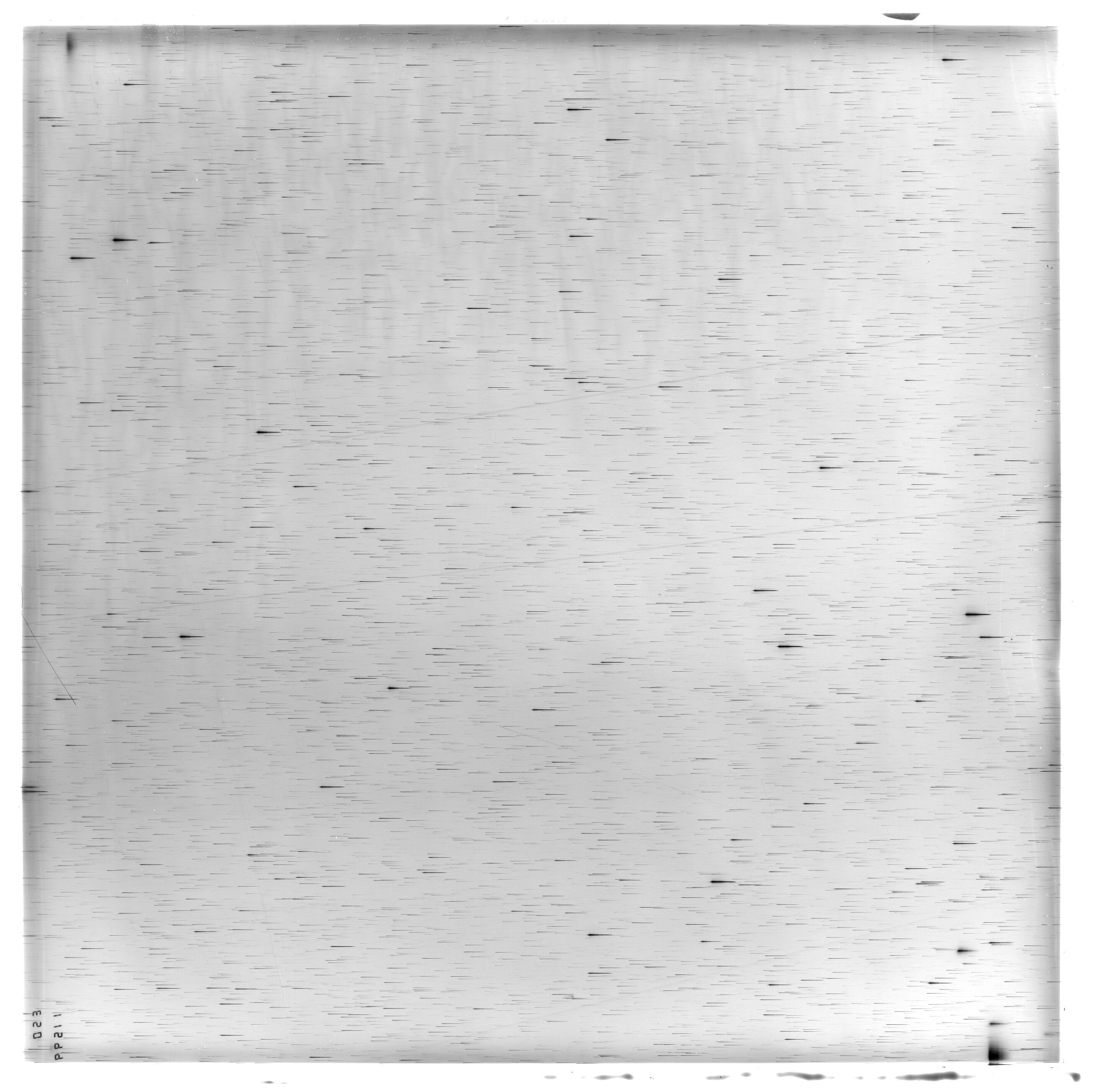 Scan ES11599a