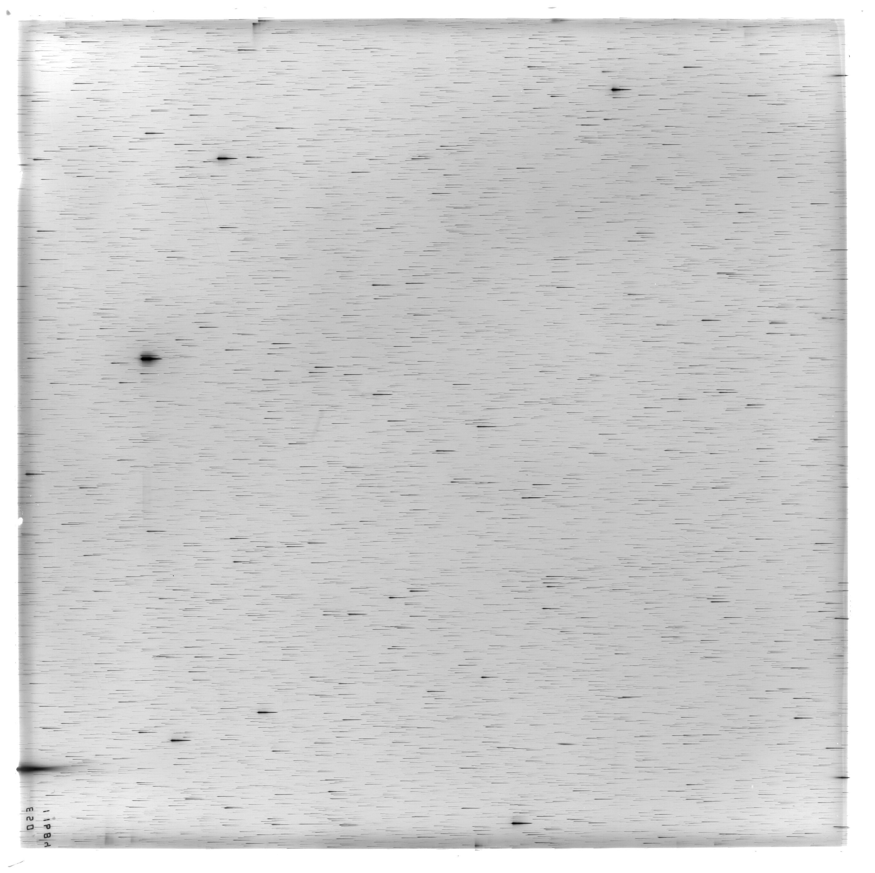 Scan ES11684a
