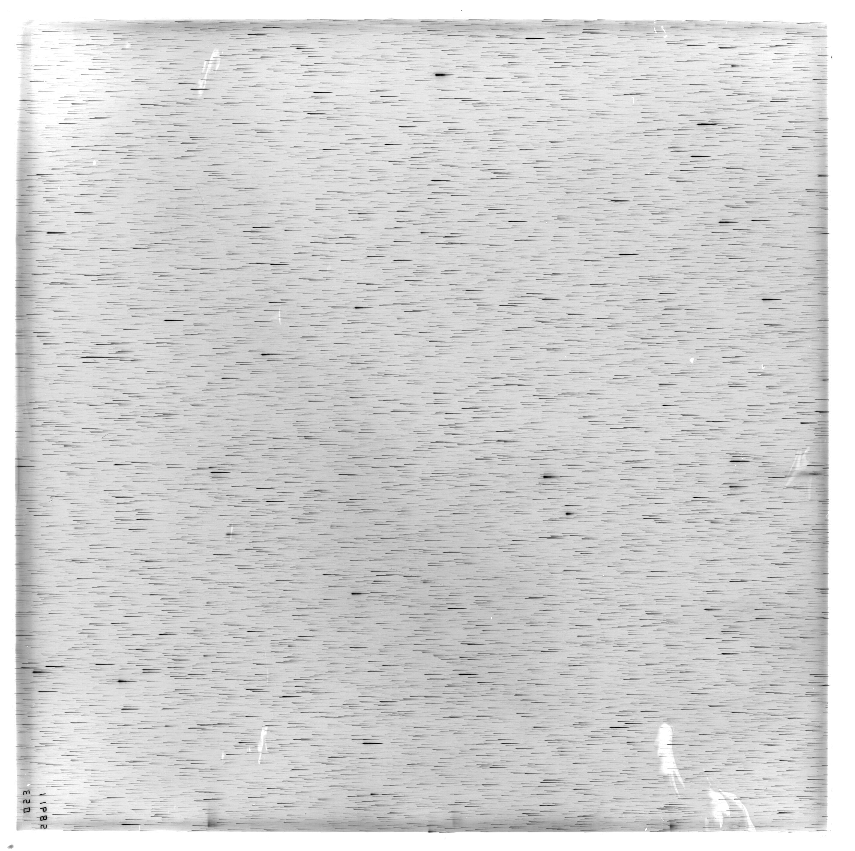 Scan ES11685a