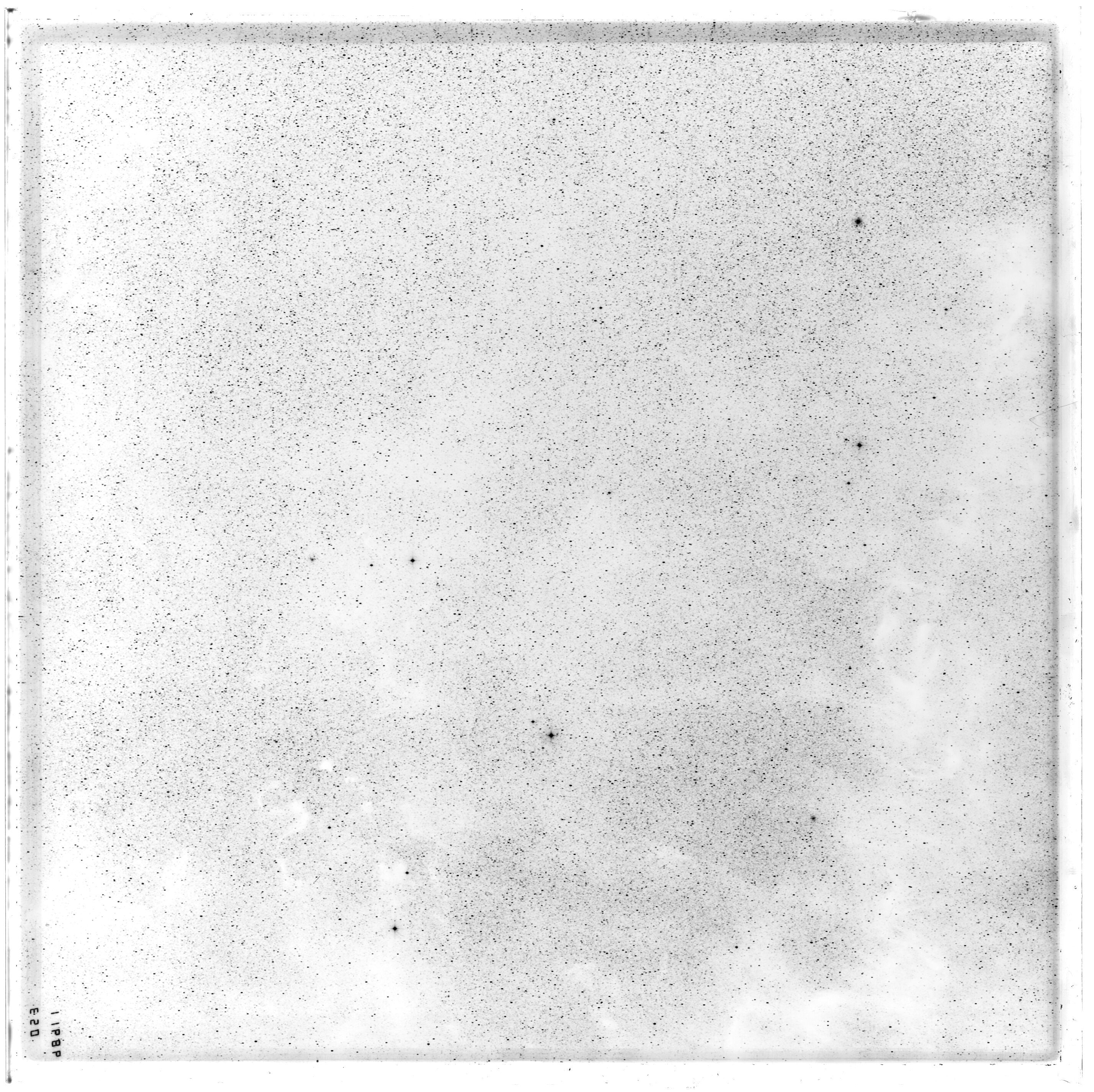 Scan ES11686a