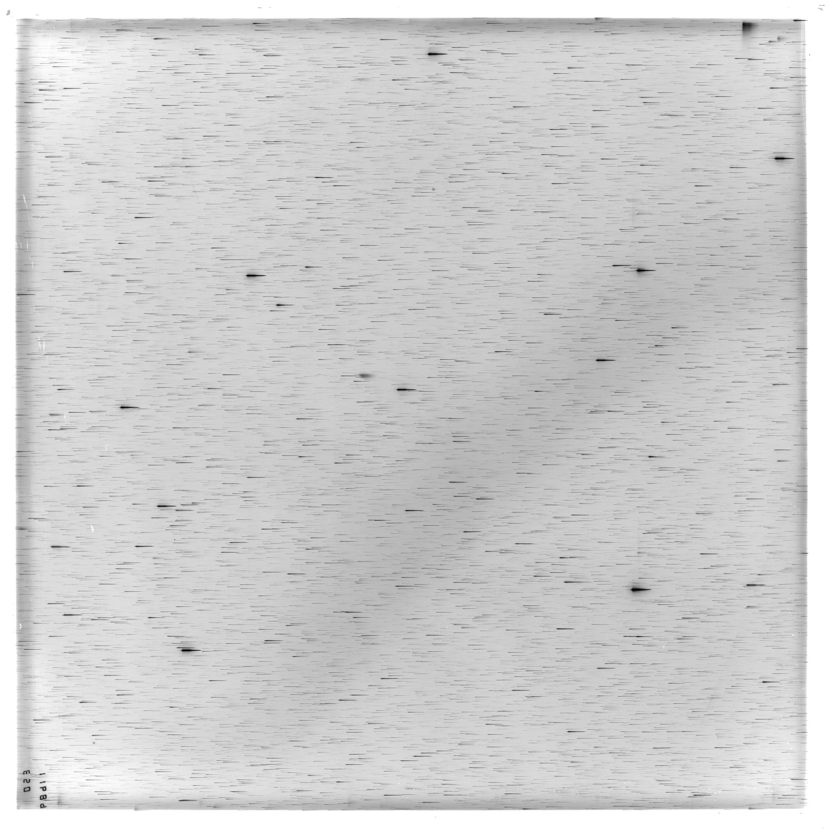 Scan ES11689a