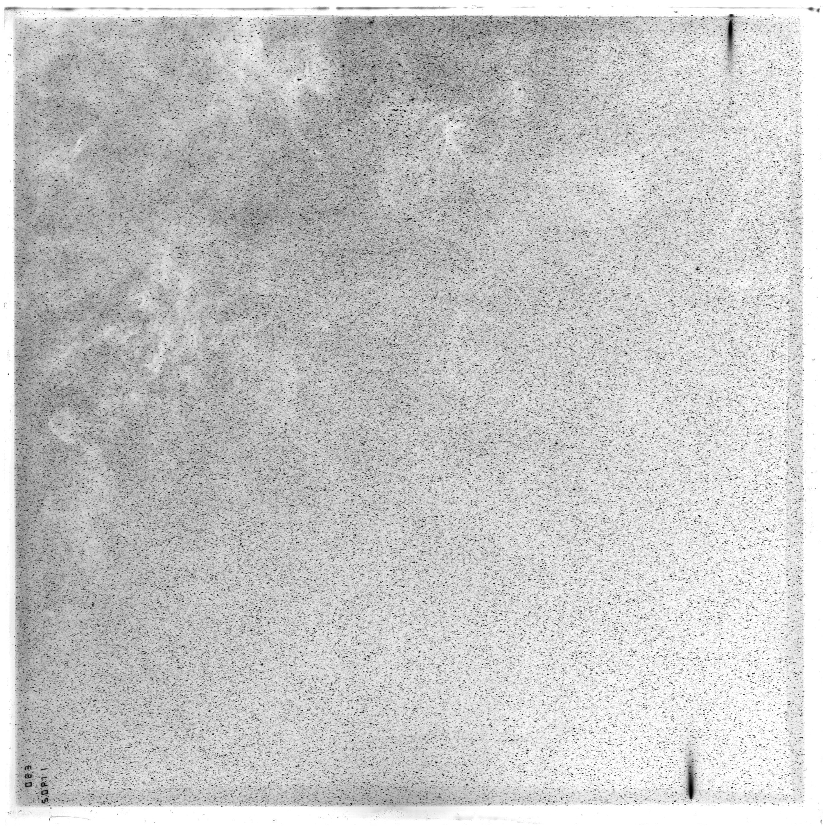 Scan ES11902a