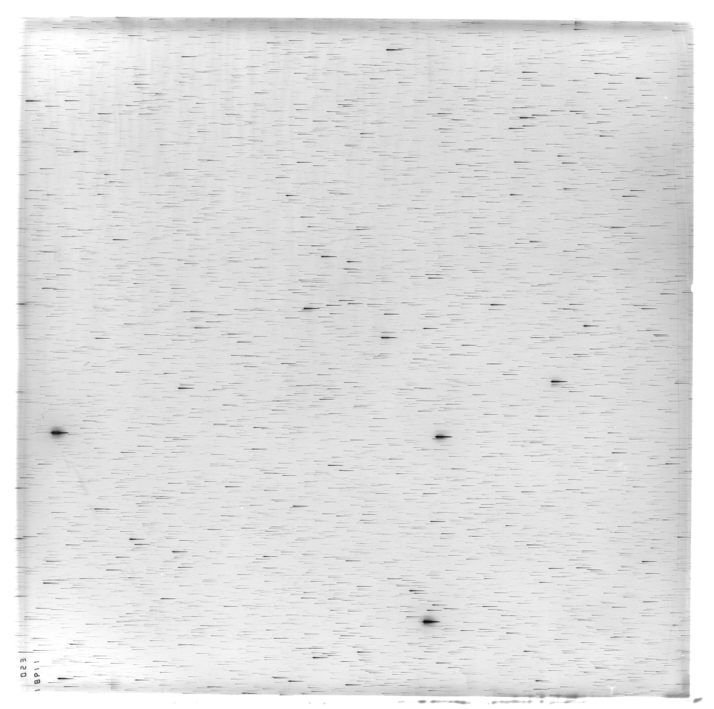 Scan ES11981a