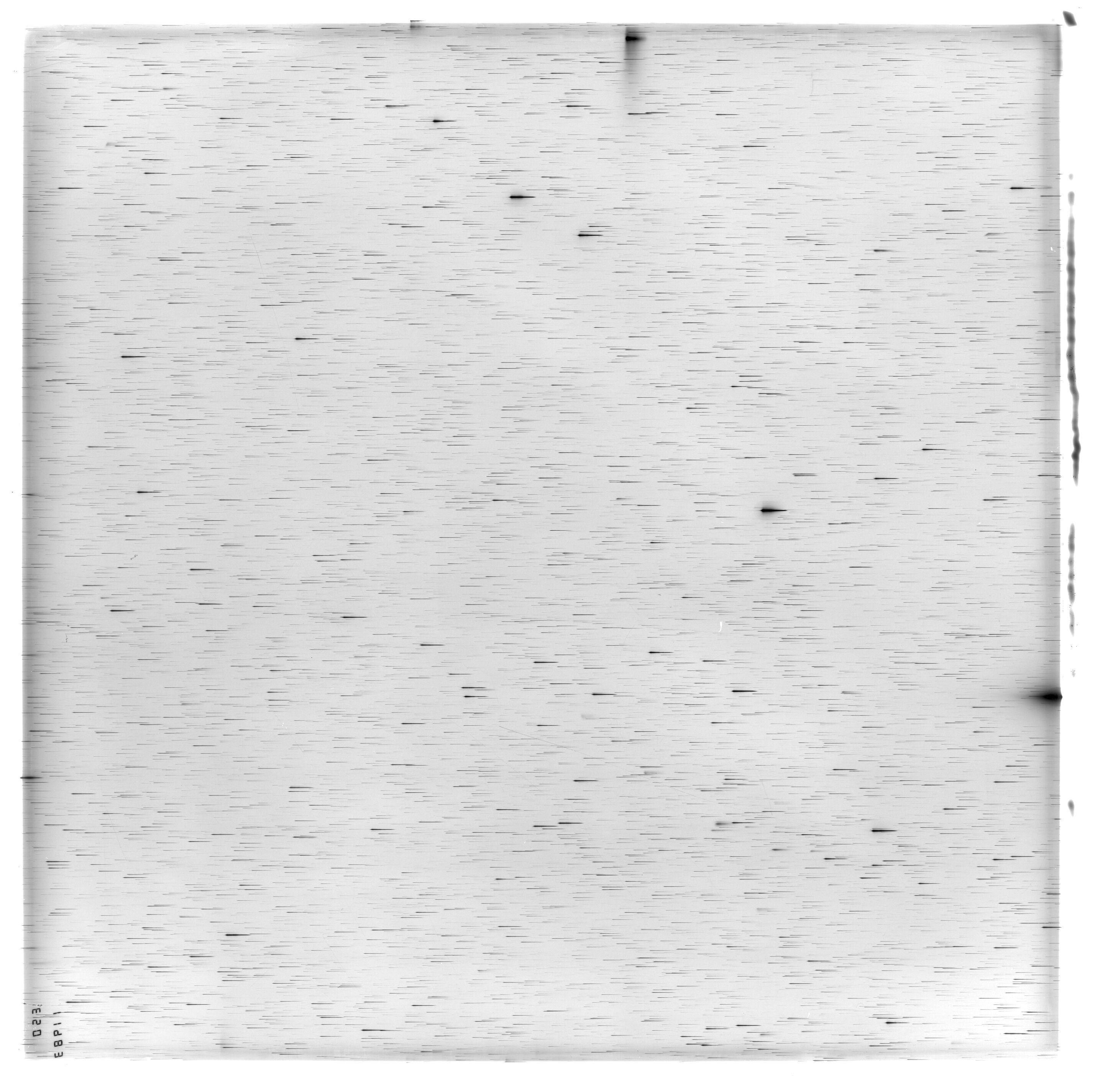 Scan ES11983a