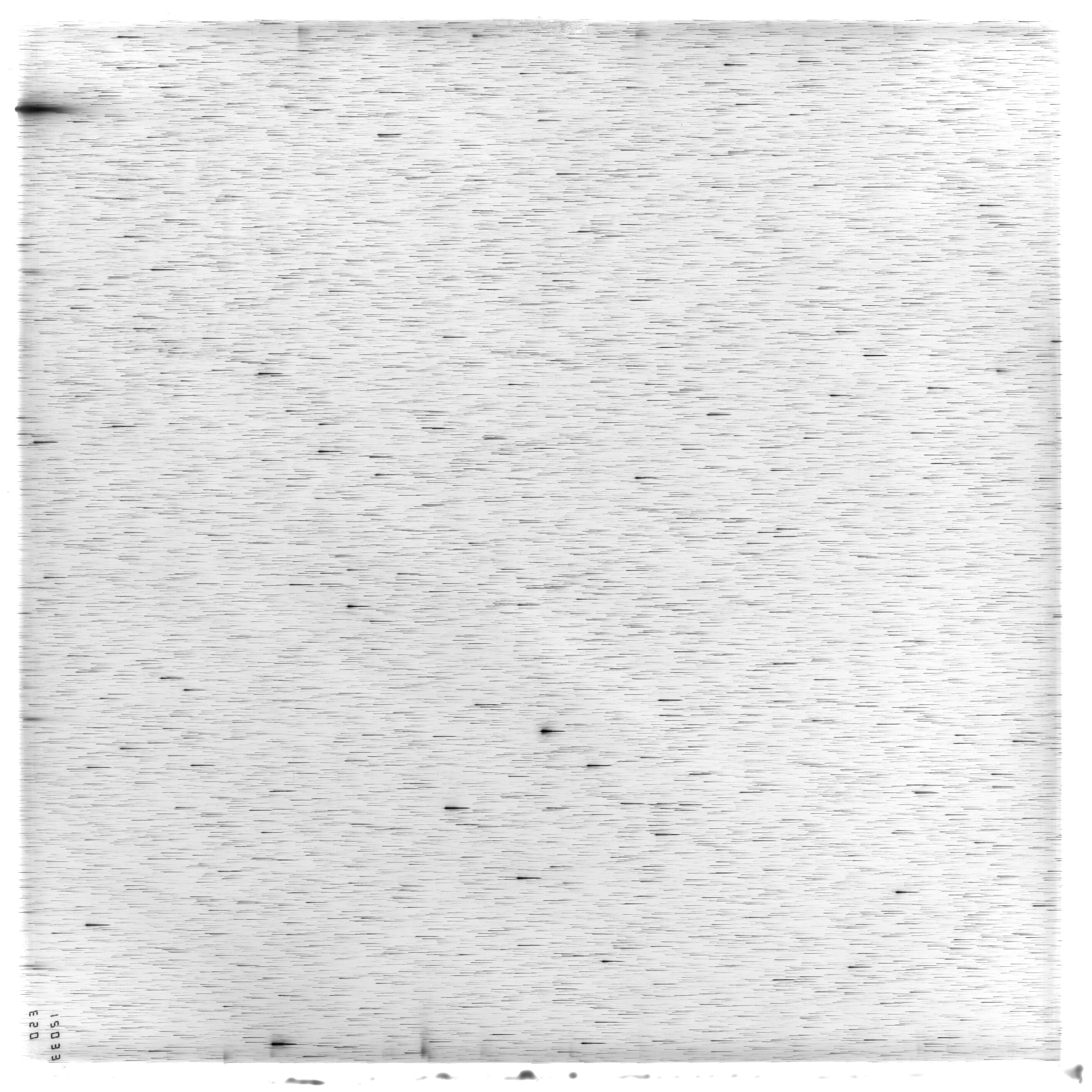 Scan ES12033a