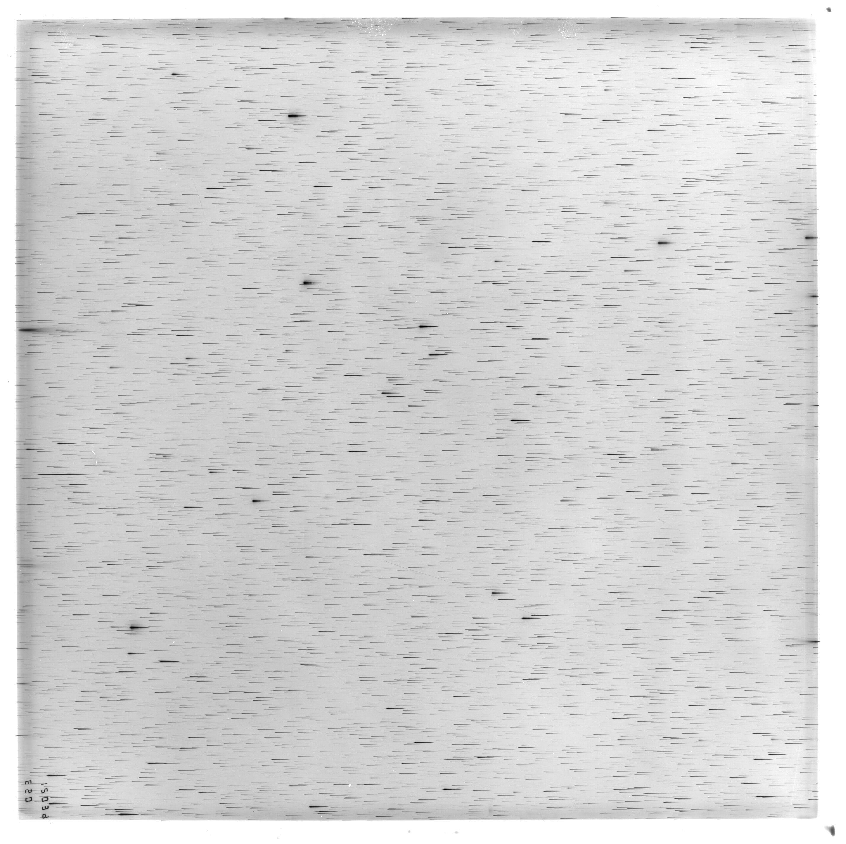 Scan ES12039a