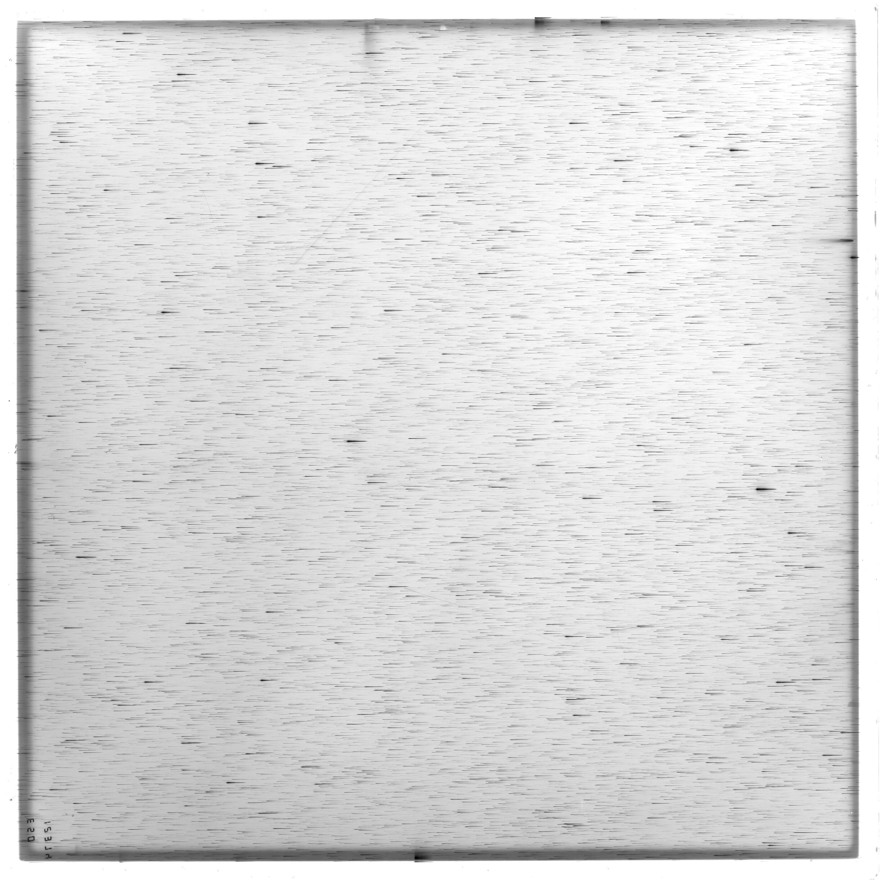 Scan ES12374a