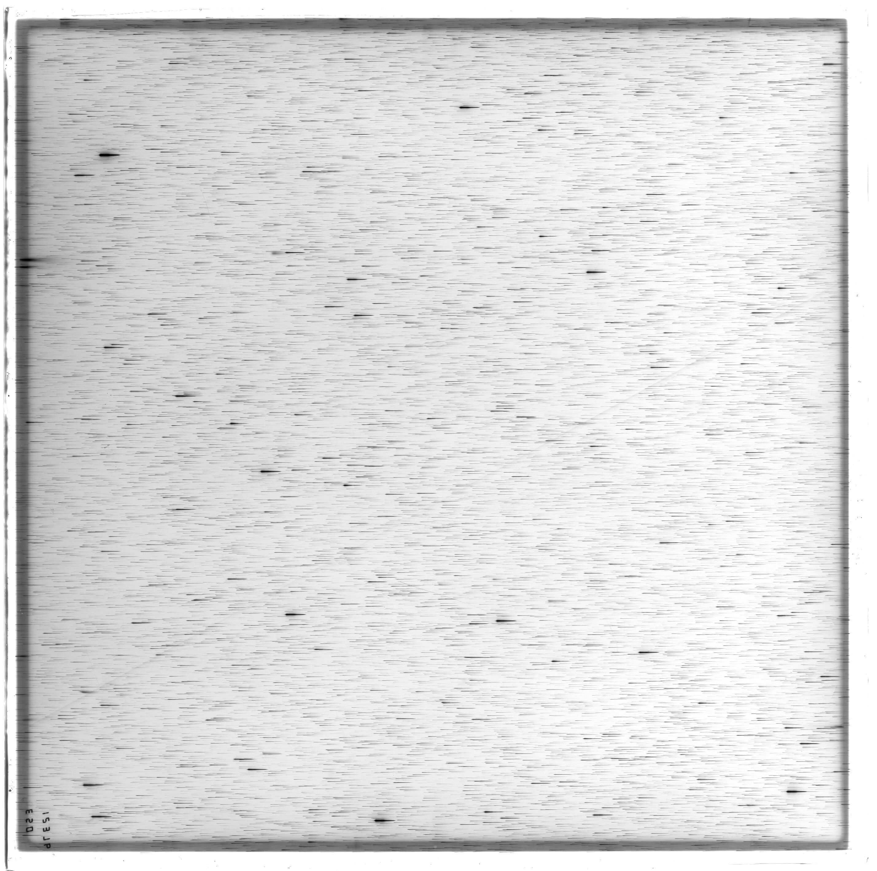 Scan ES12376a