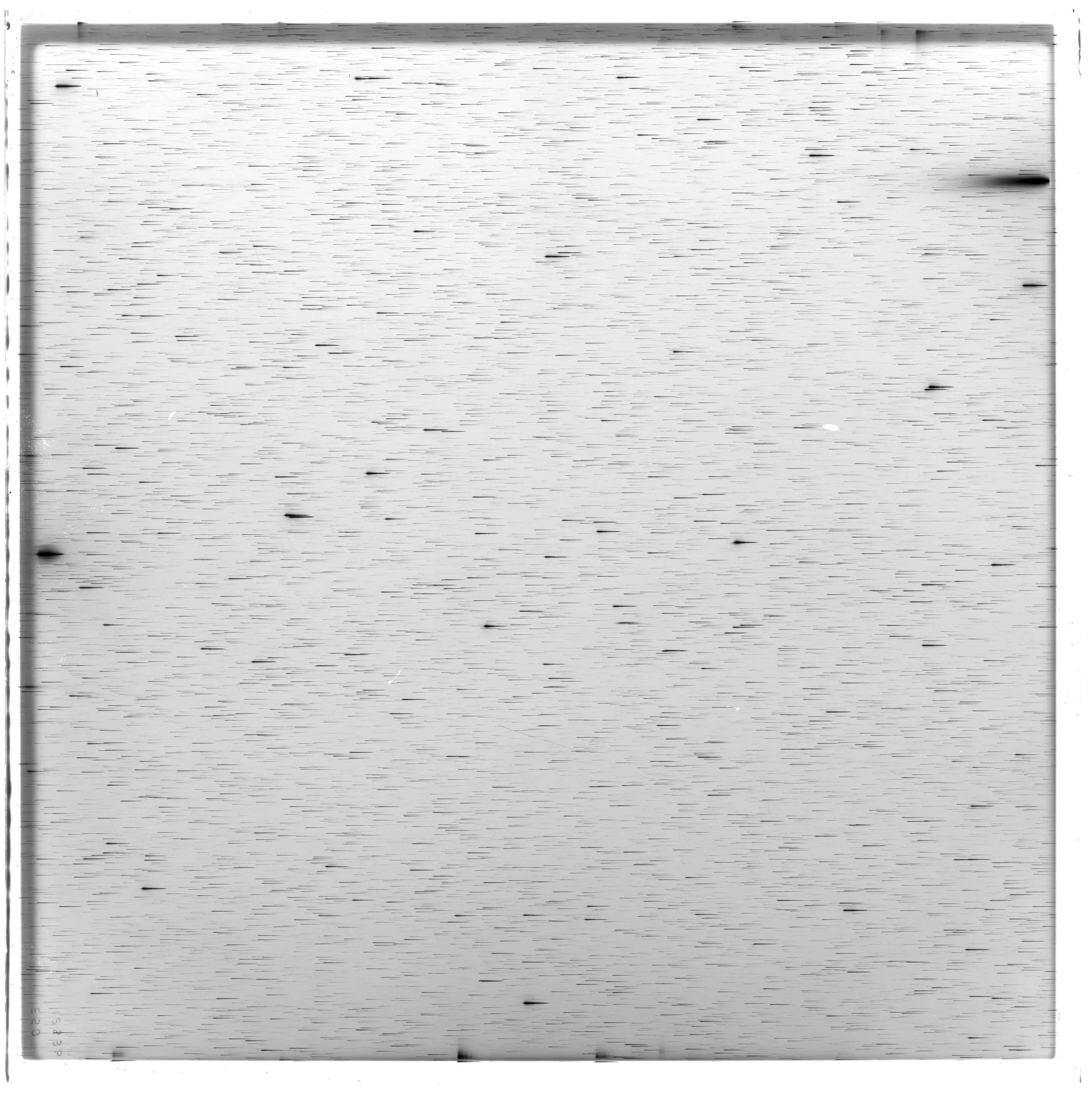 Scan ES12536a