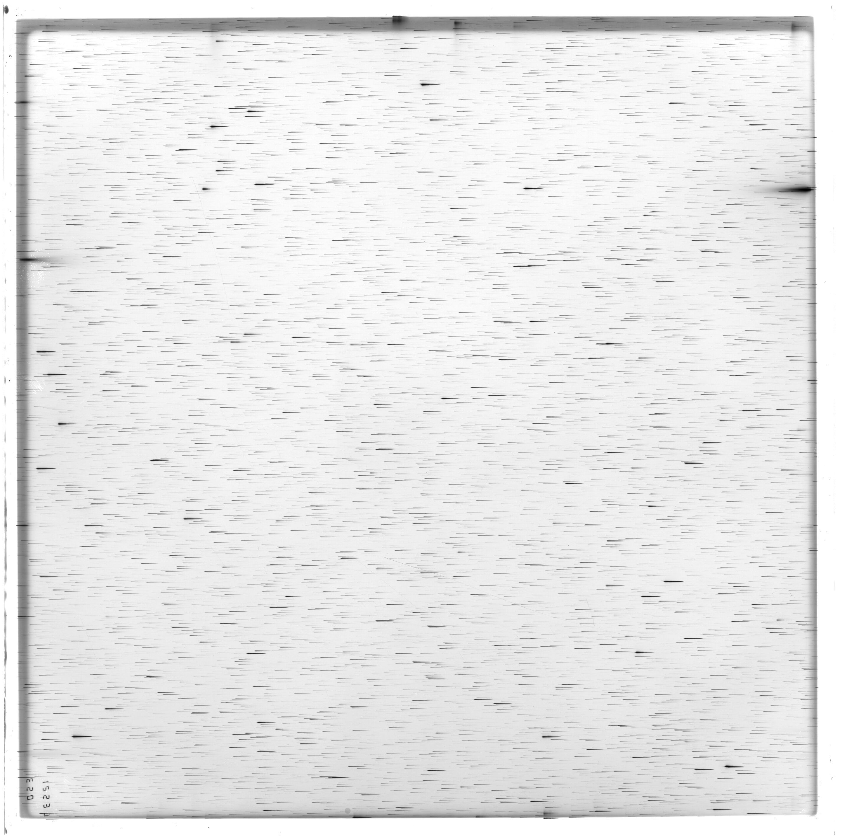 Scan ES12537a