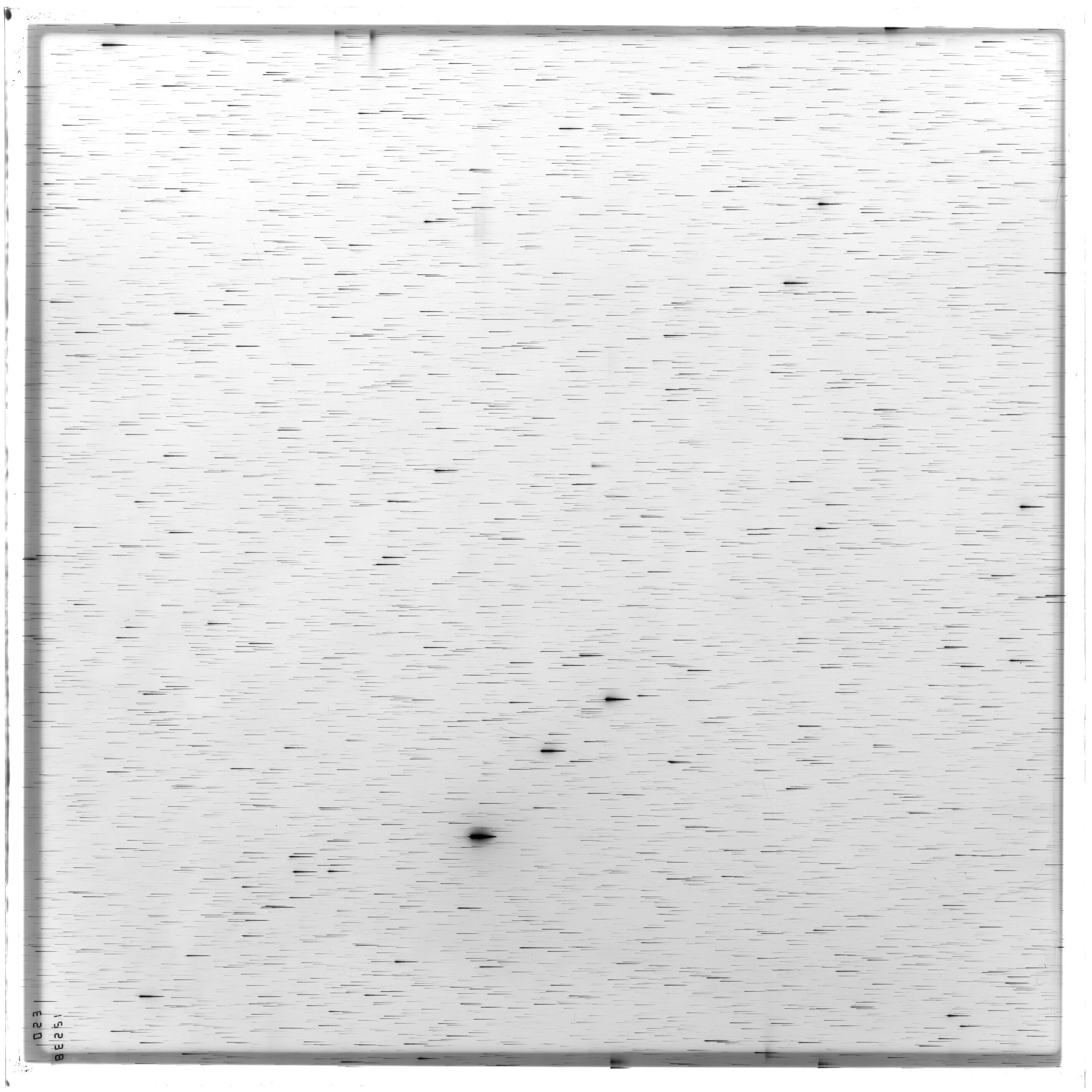Scan ES12538a