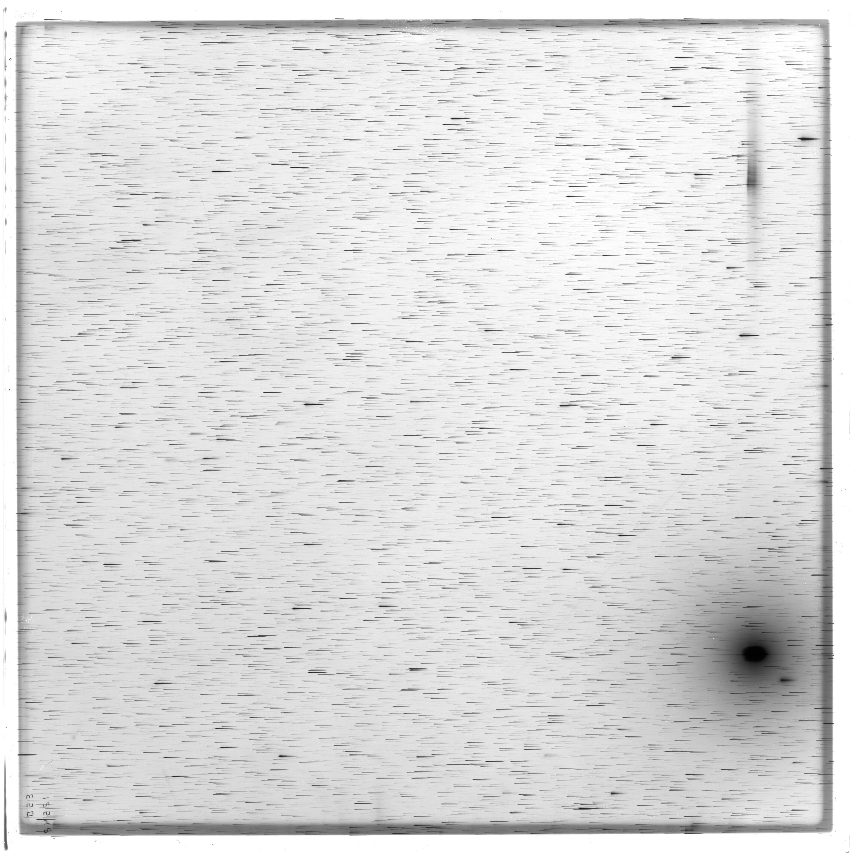 Scan ES12542a