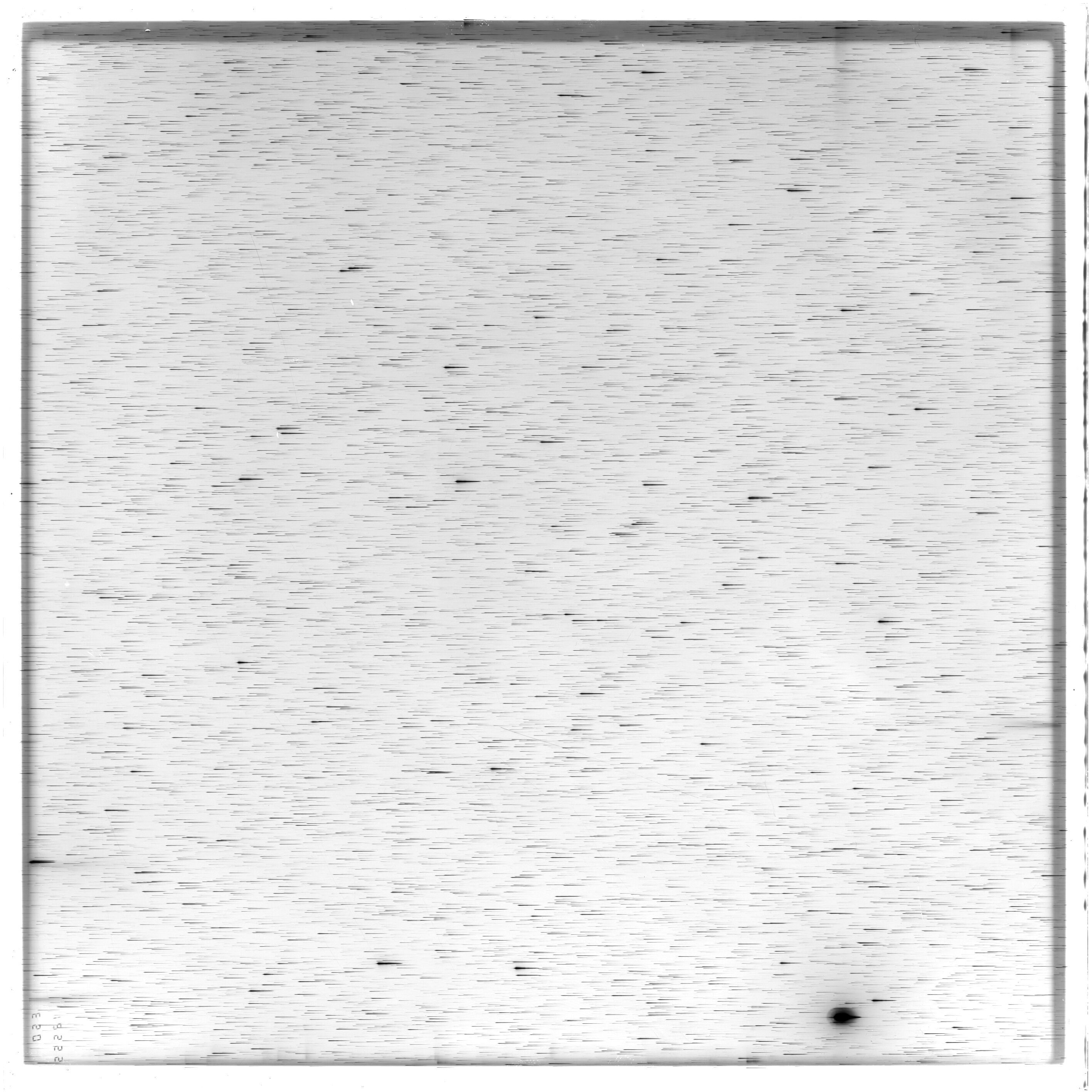 Scan ES12555a