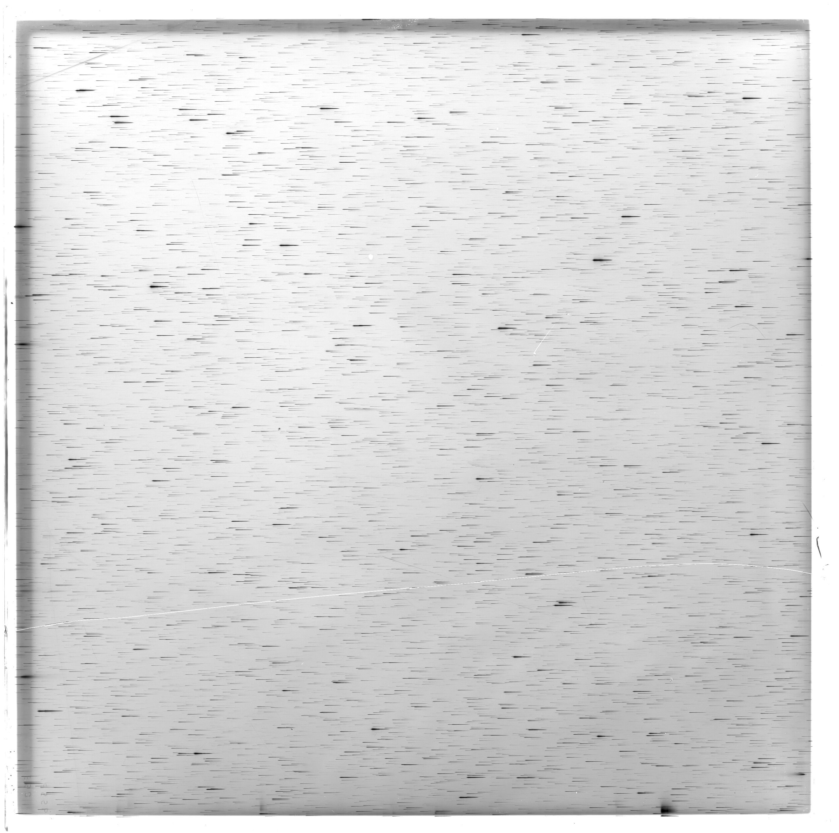 Scan ES12556a