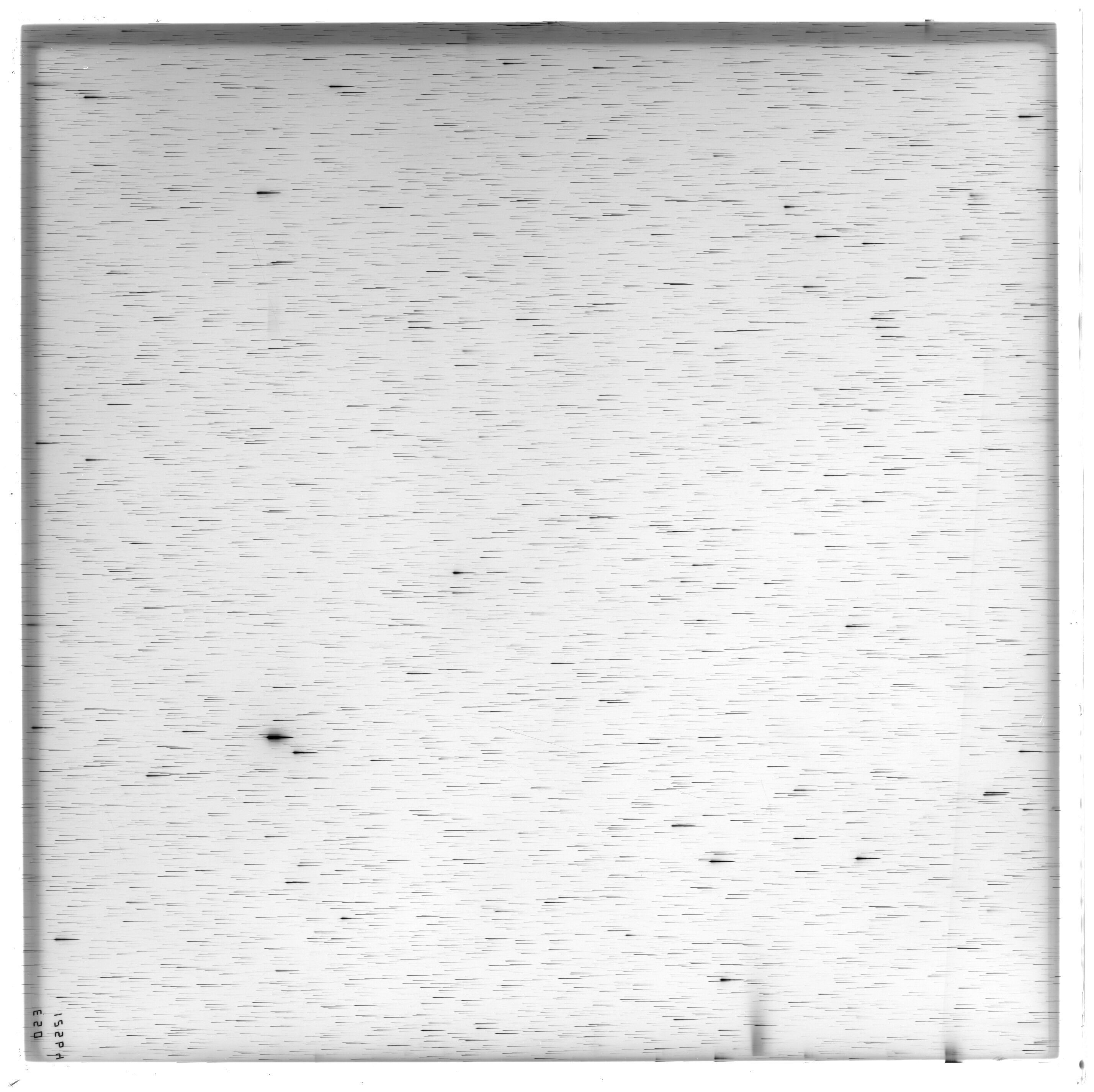 Scan ES12564a